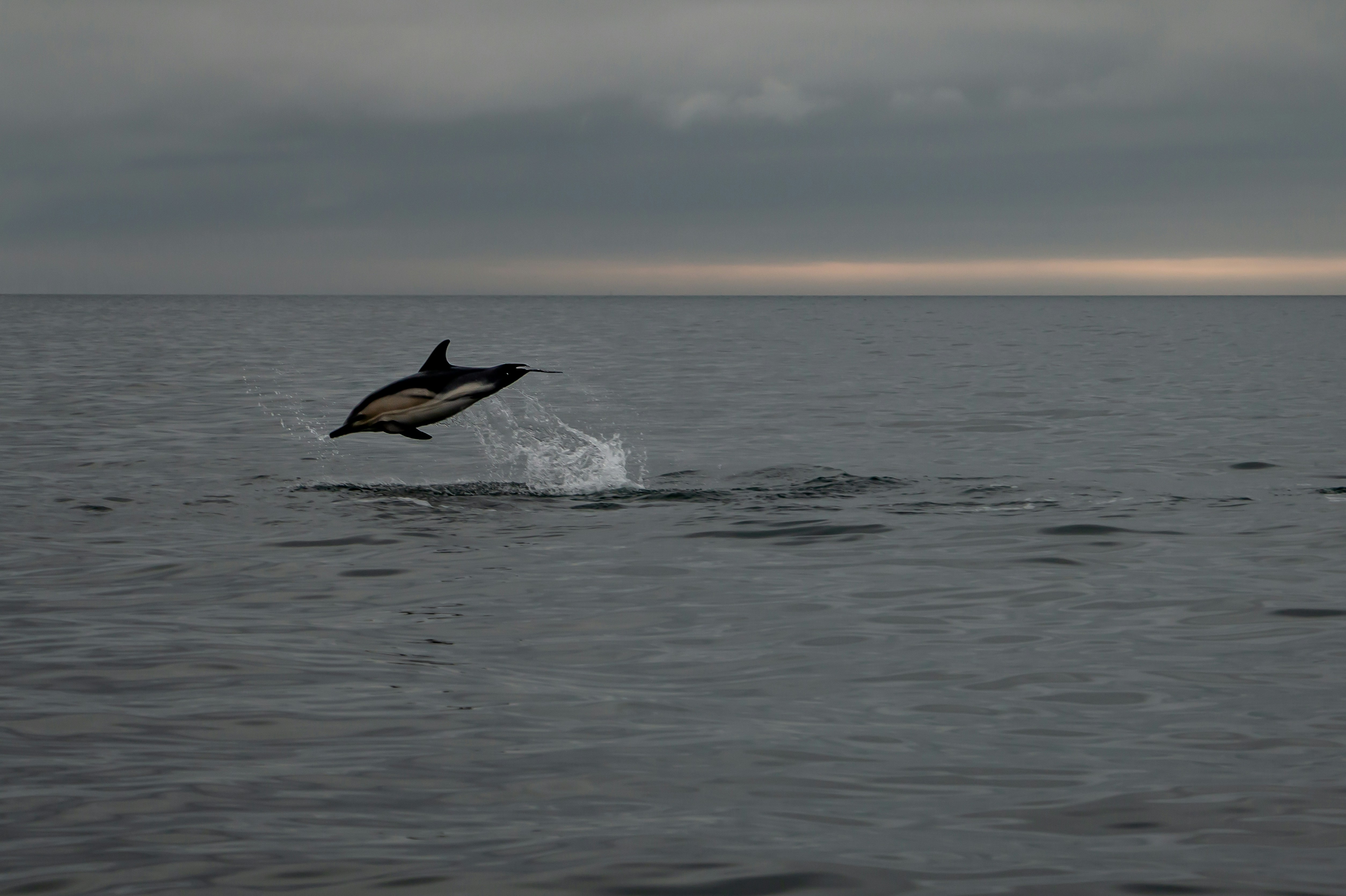 Photo by raymondo600