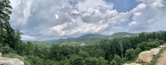 A panoramic view of the lush Tanzanian landscape where gemstones are mined.