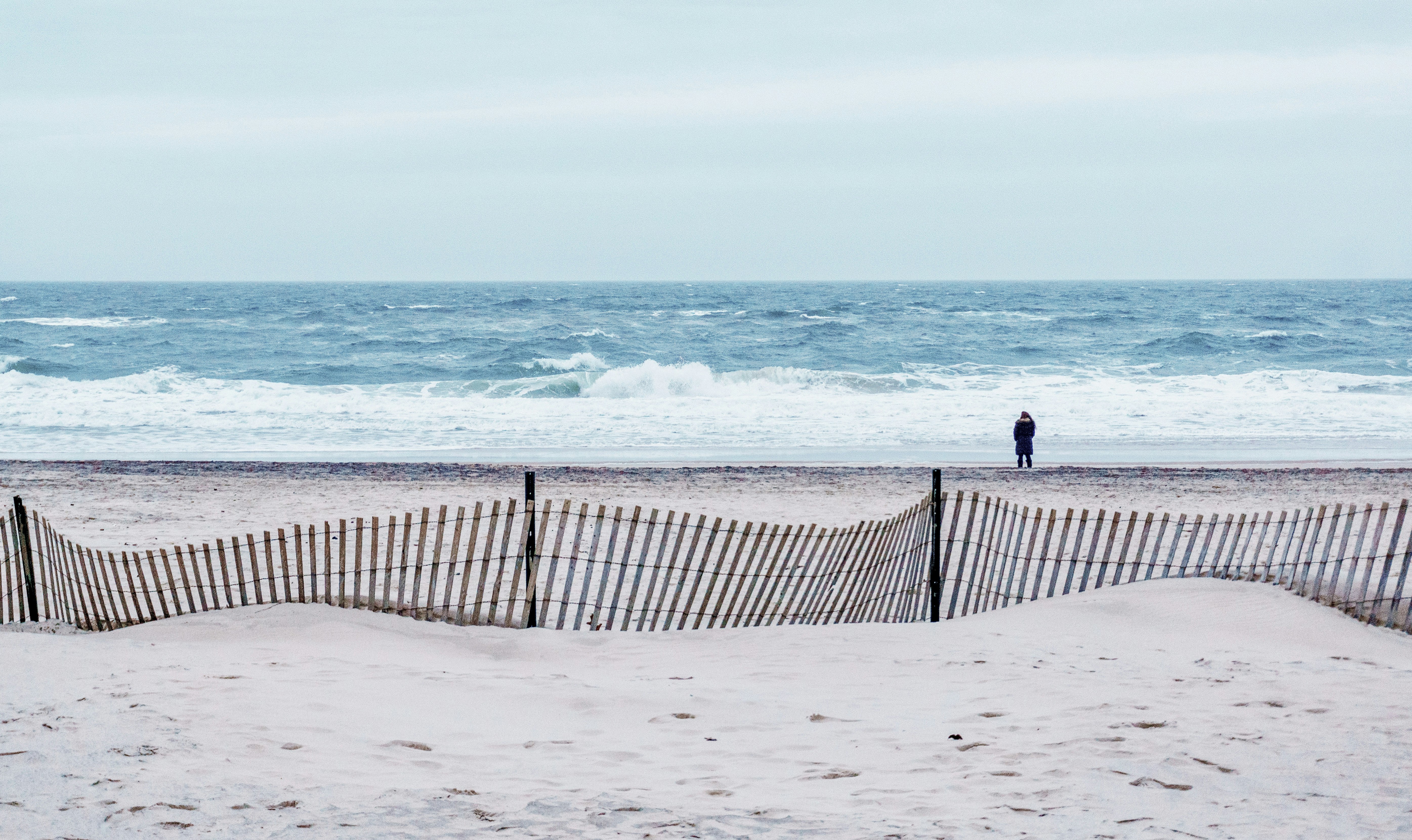 people walking on beach during daytime