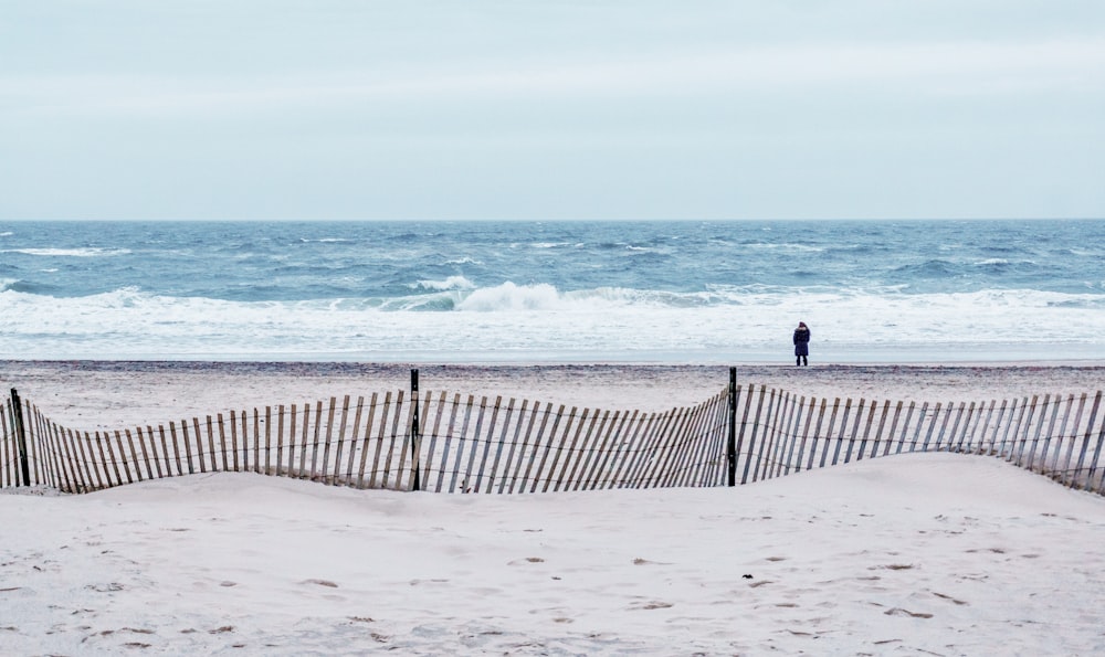 people walking on beach during daytime