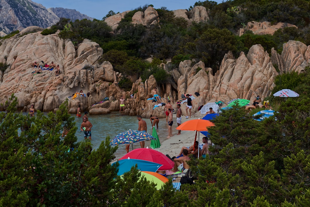 people on beach during daytime