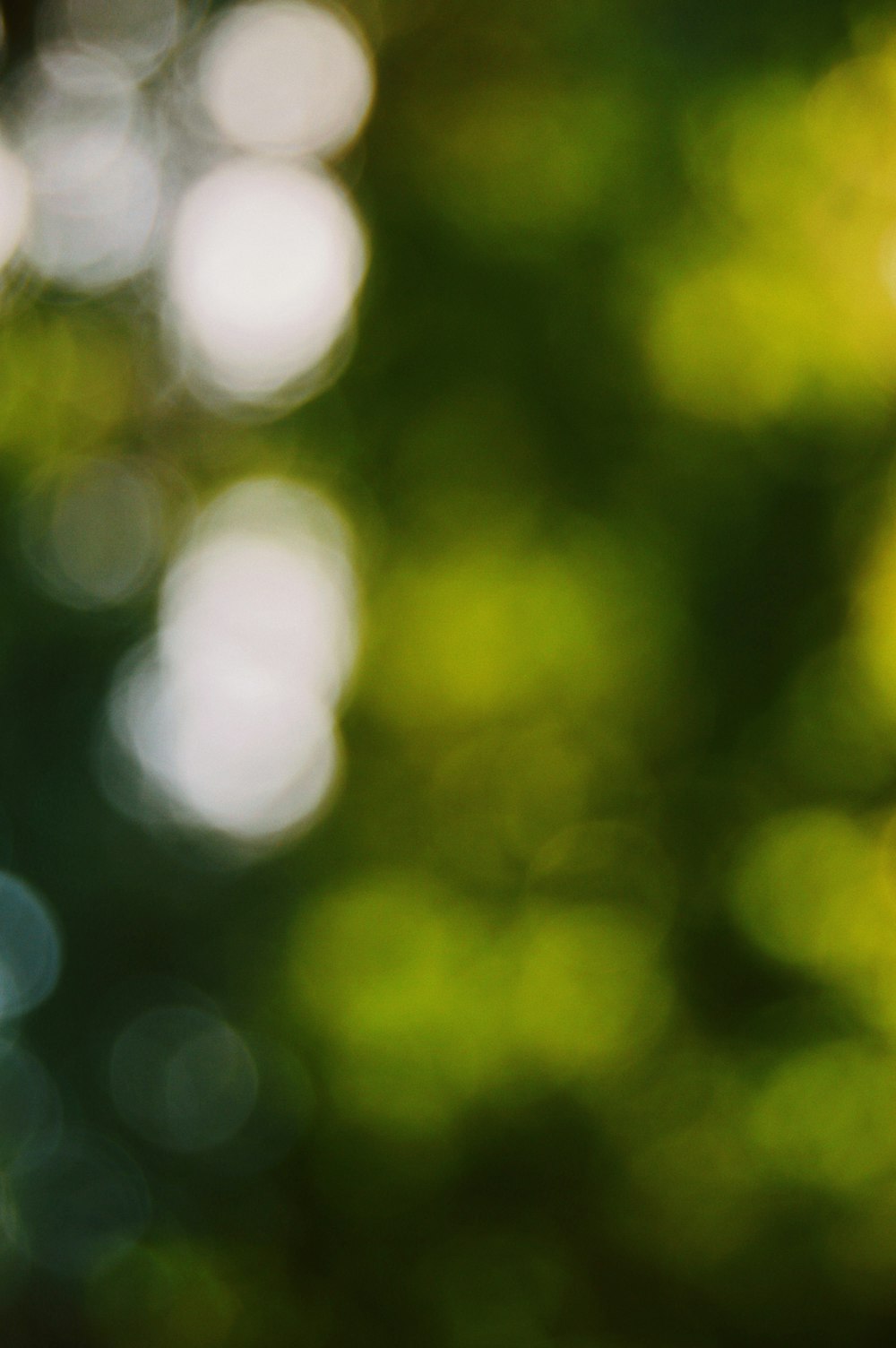 white and green bokeh lights