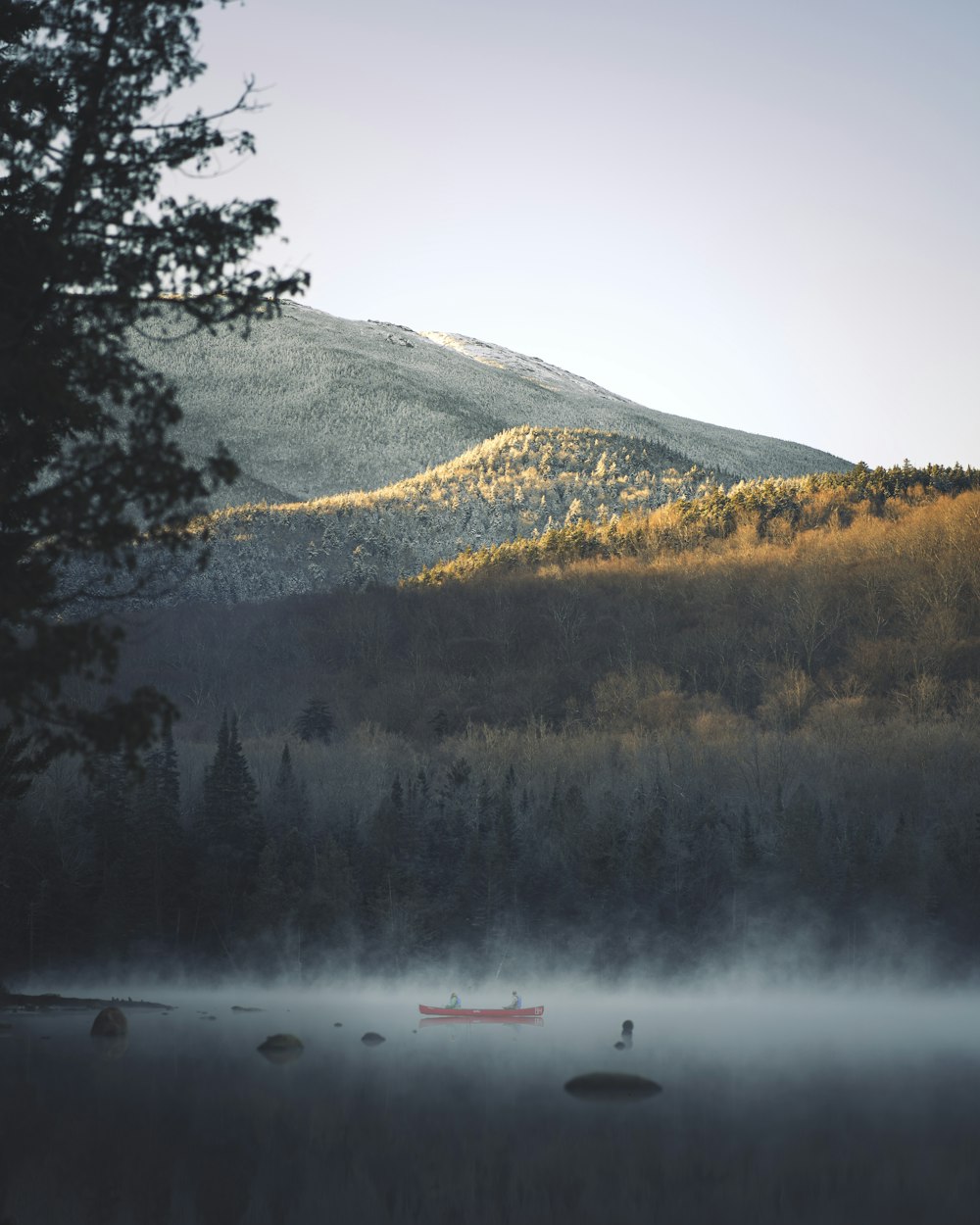 green trees near body of water during daytime