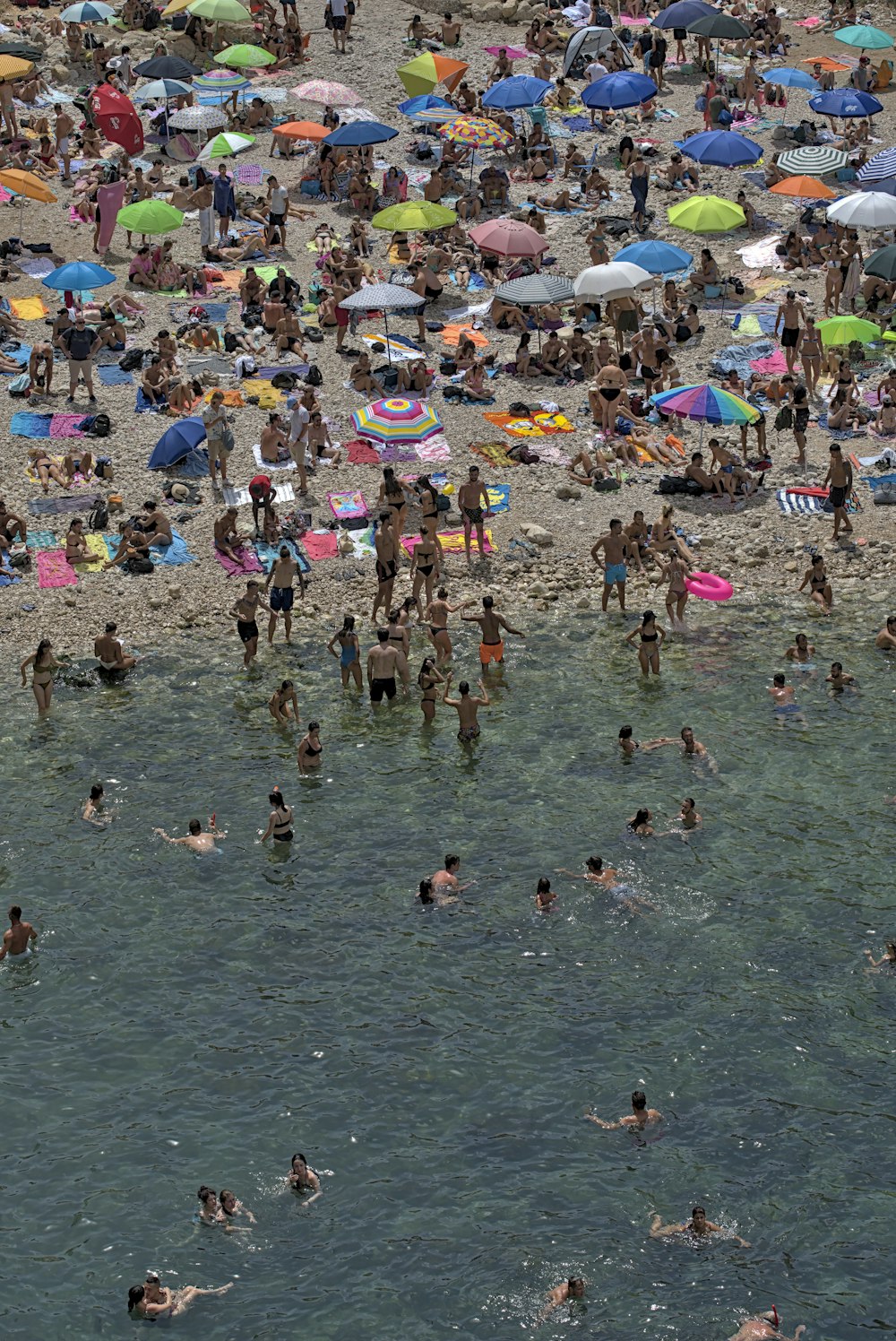 people on beach during daytime