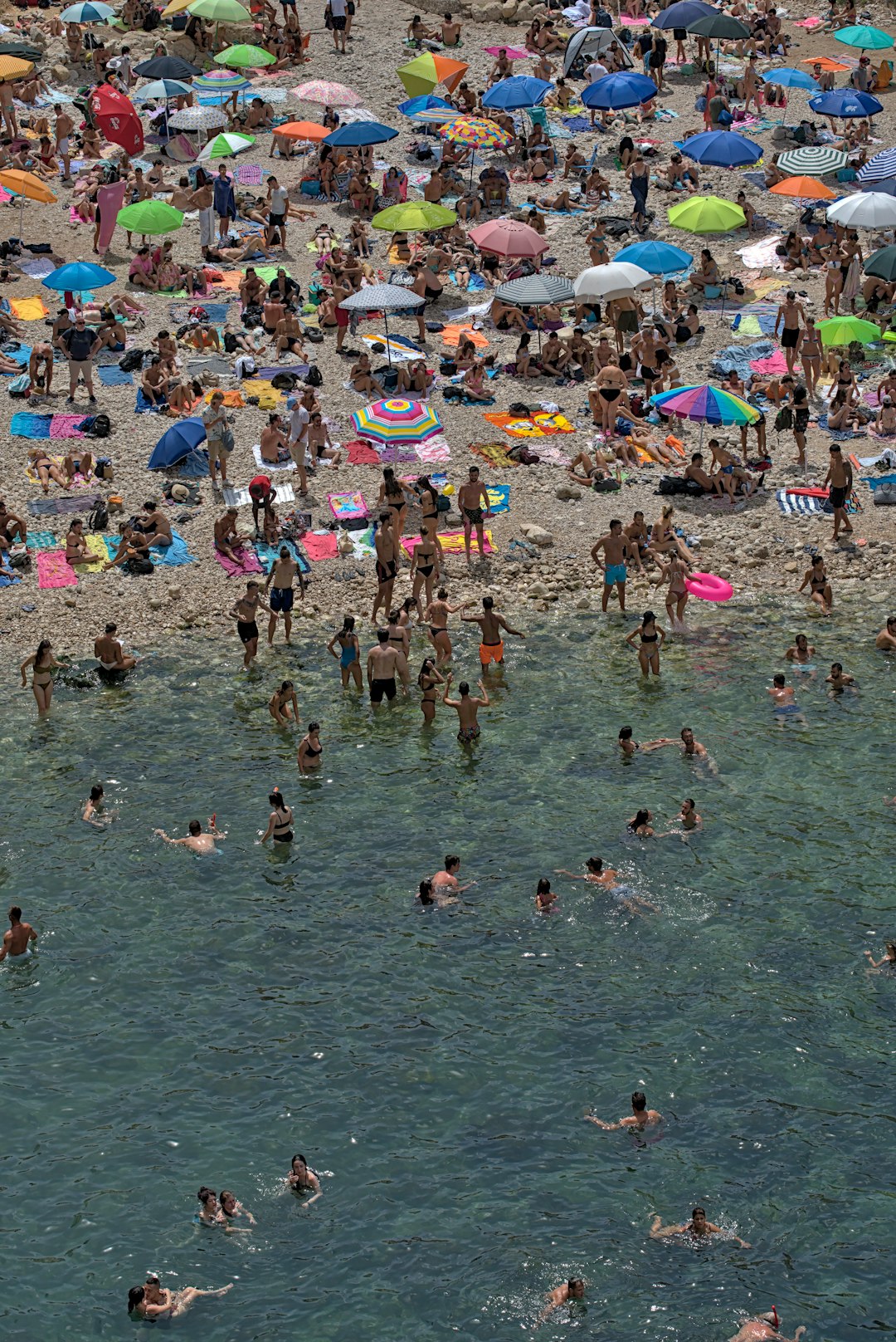 people on beach during daytime