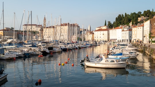 white and blue boat on water near buildings during daytime in Obzidje Piran Slovenia