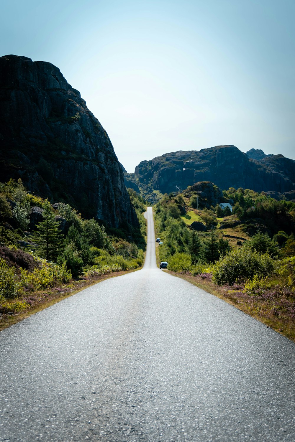 white concrete road between green grass and mountain during daytime