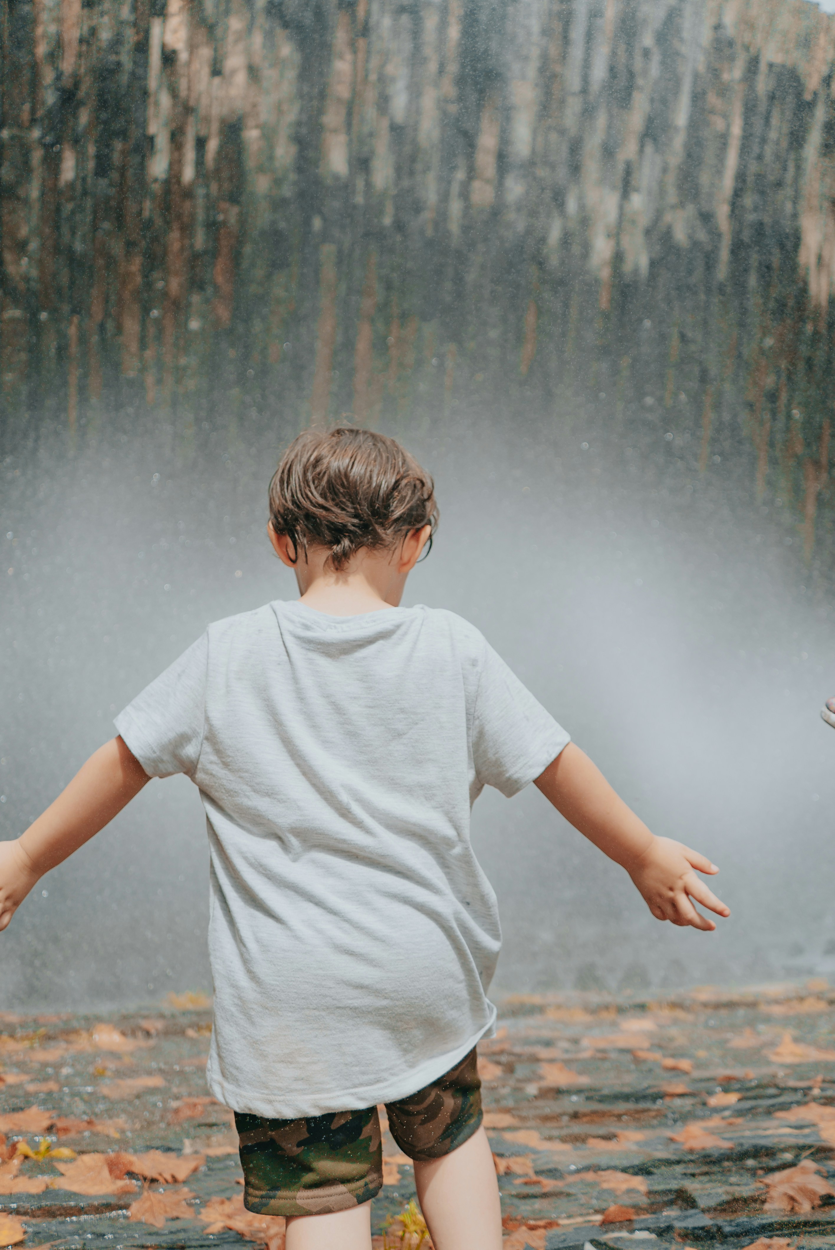 Photo by paulo0000000000000