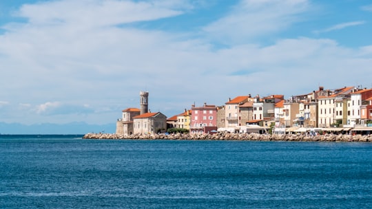 brown and white concrete building near body of water during daytime in Piran Slovenia