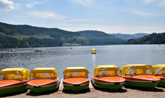 A calm morning view of paddleboats lined up on the lake shore.