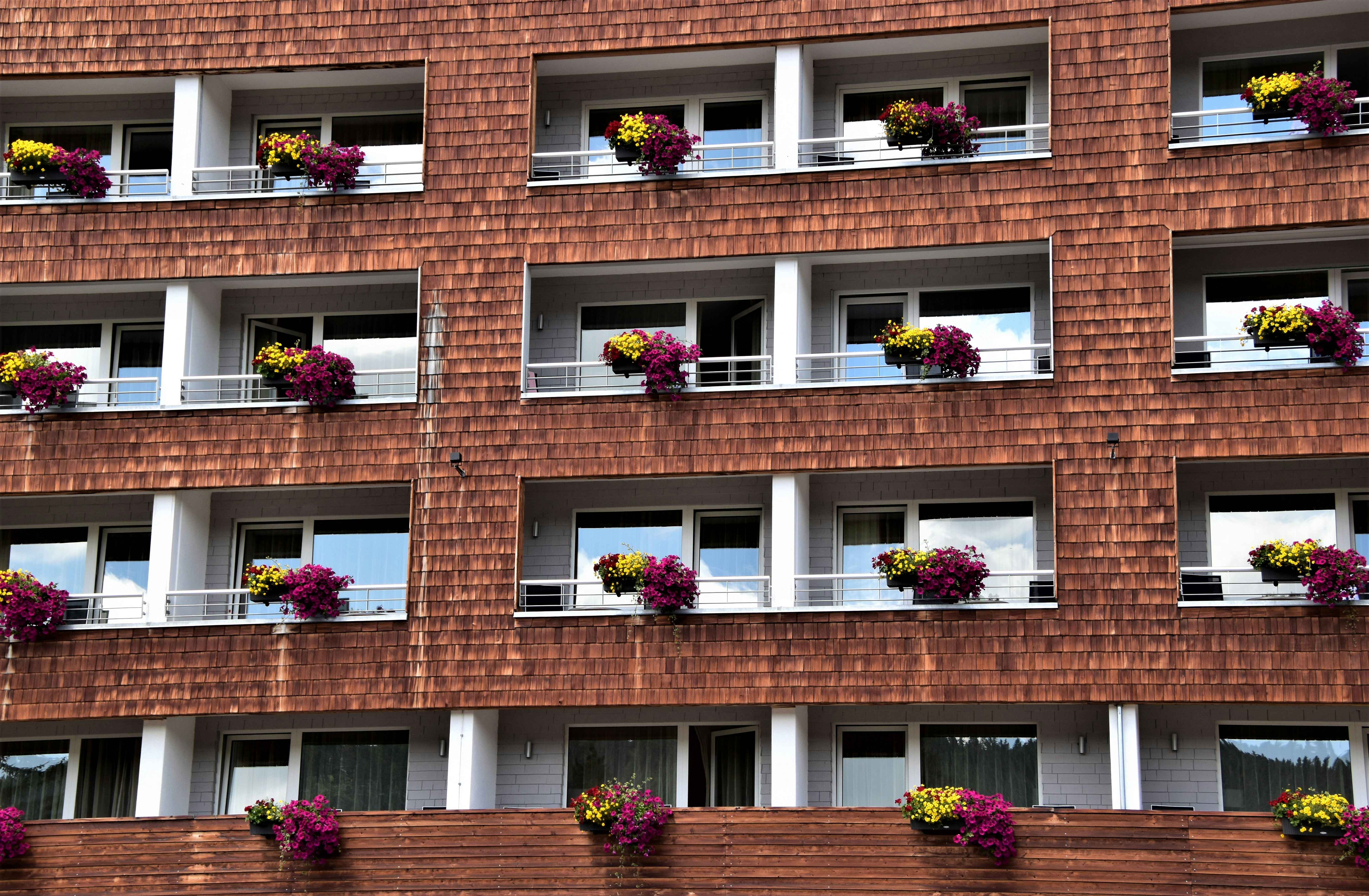 茶色のレンガの壁にピンクの花