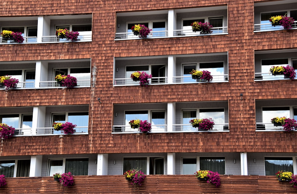 pink flowers on brown brick wall