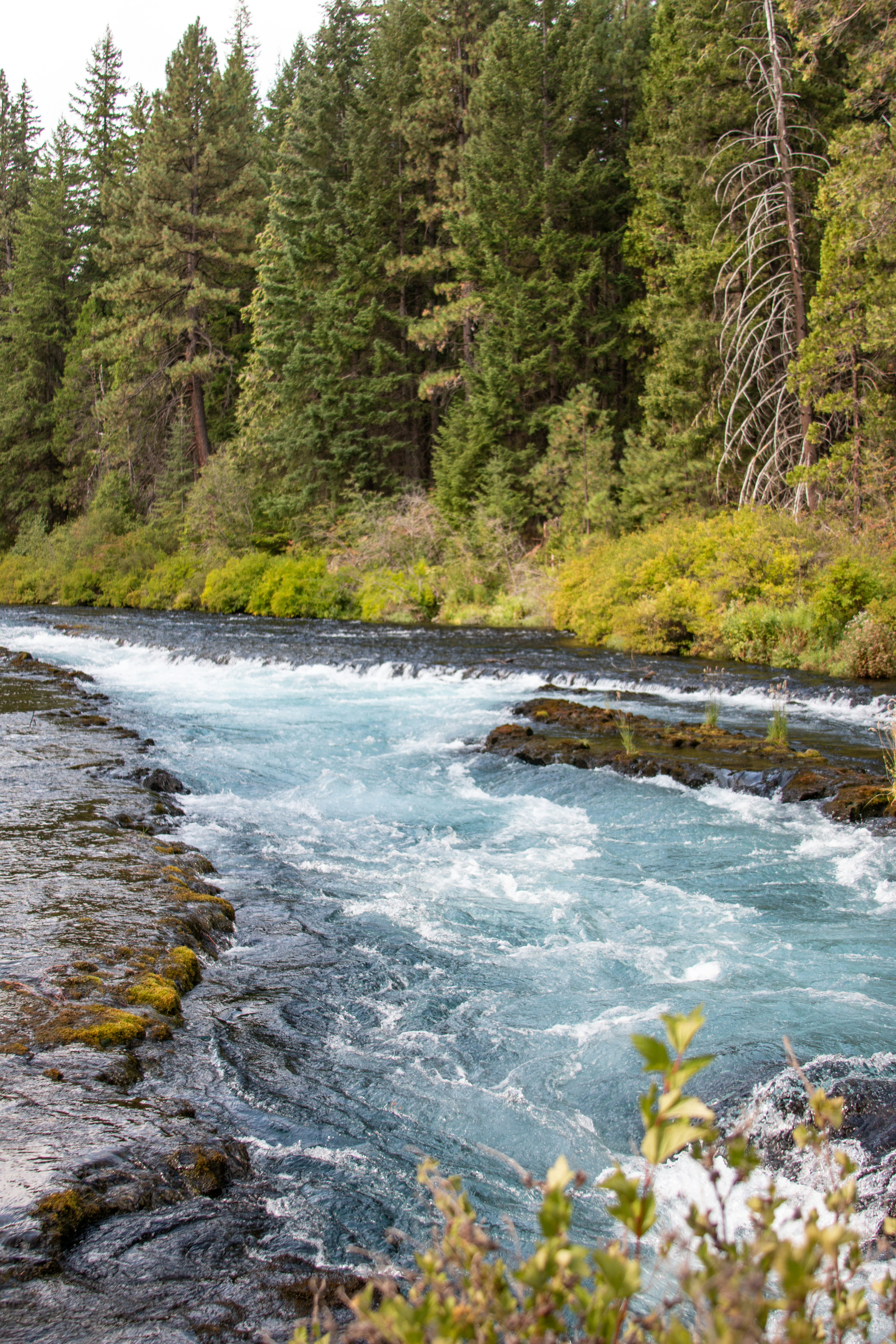 Photo by gracestudio