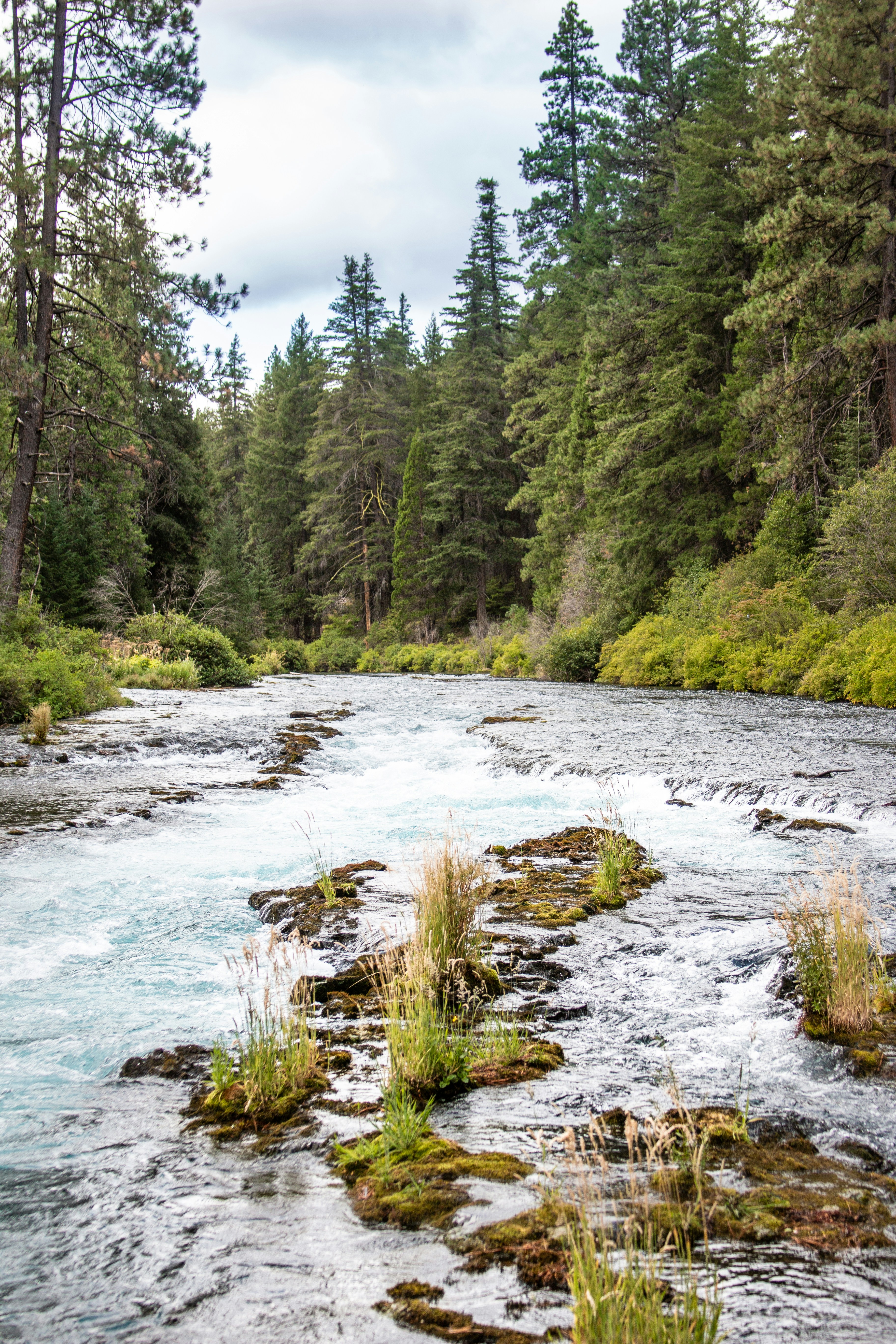 Photo by gracestudio