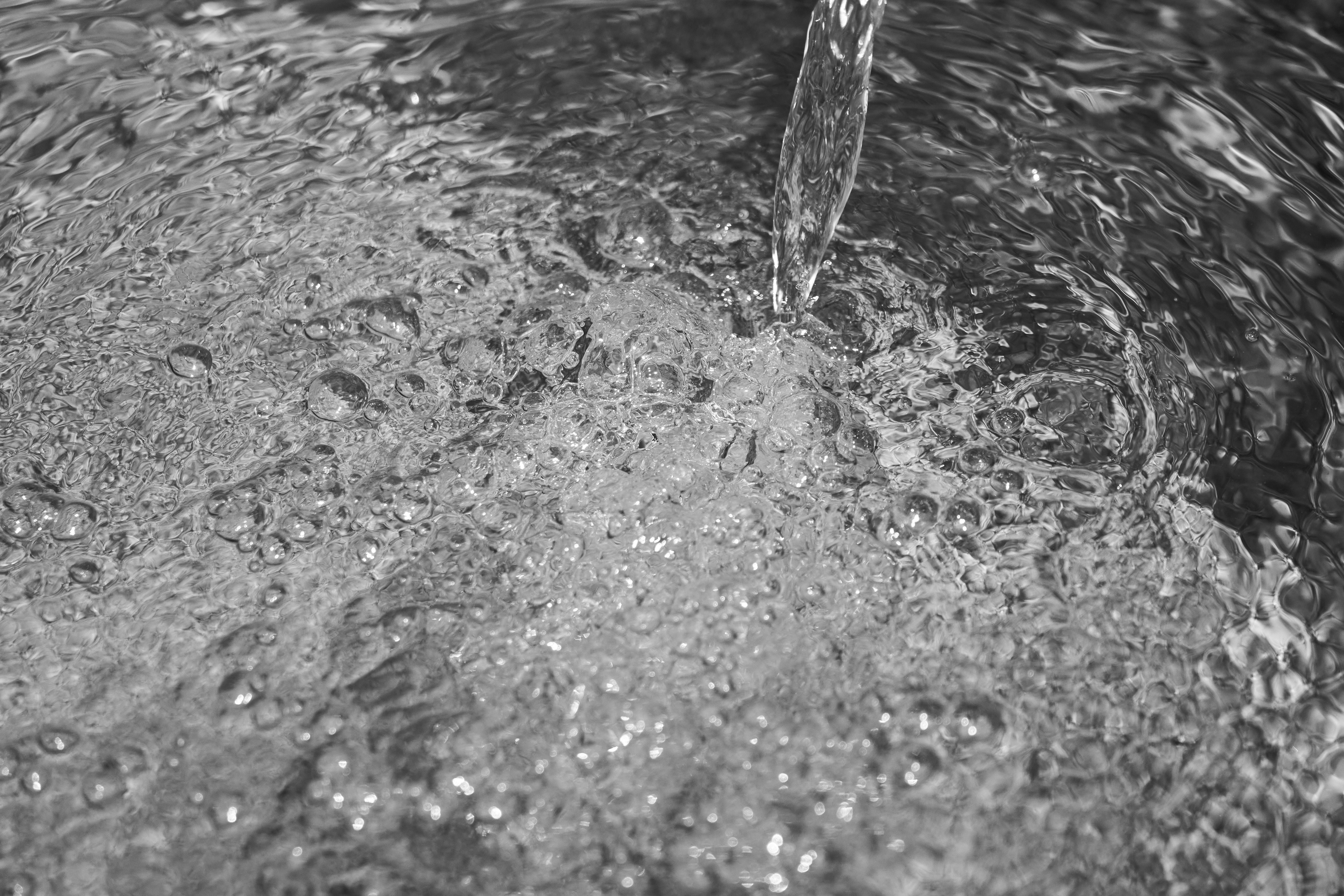 Photo by wolfgang_hasselmann