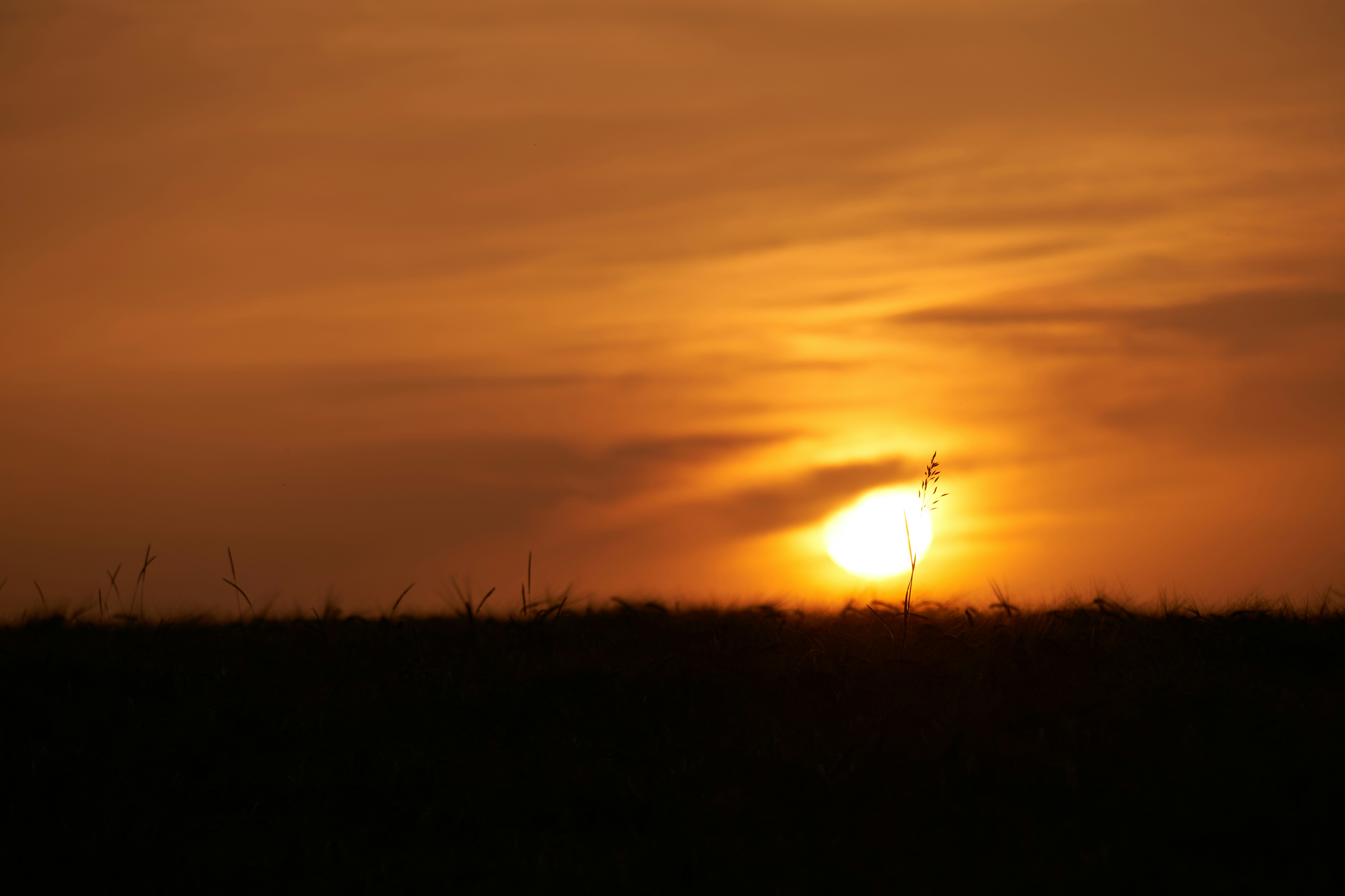 Photo by wolfgang_hasselmann