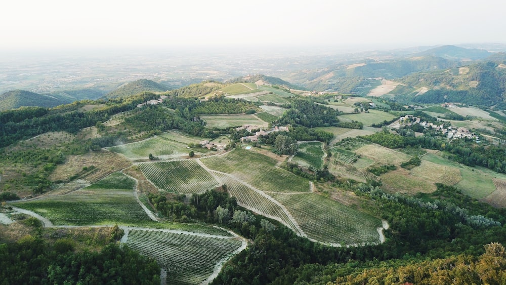 aerial view of green trees and green grass field during daytime