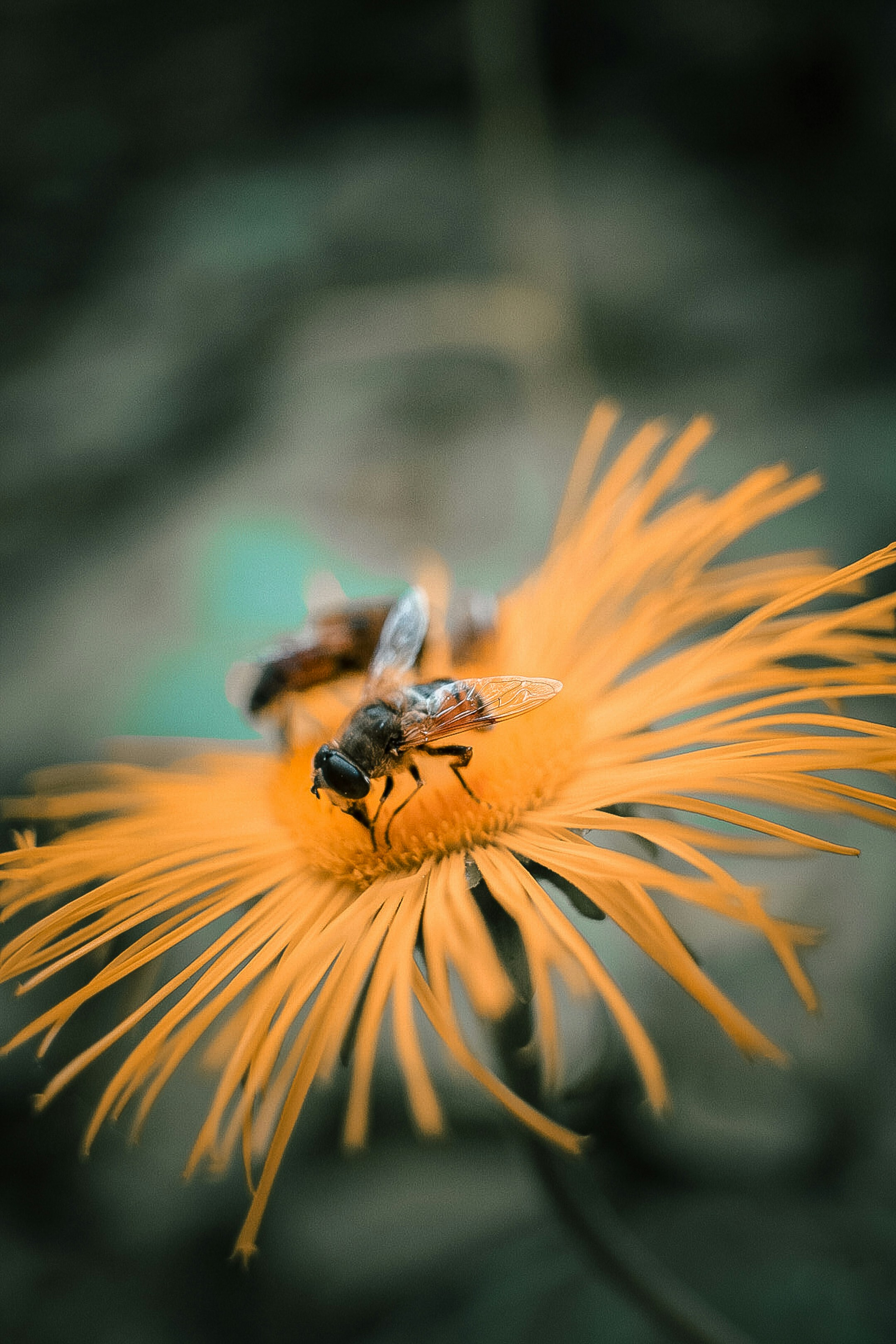 Photo by rmndphoto