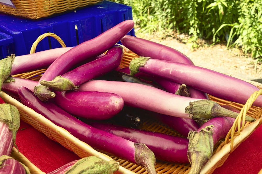 purple and green chili peppers