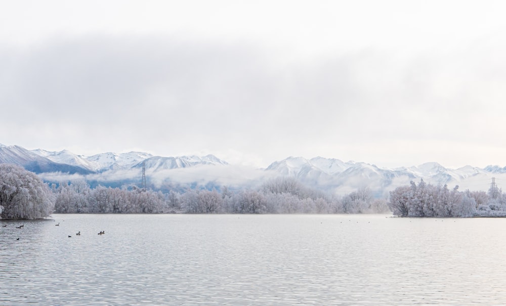 body of water near snow covered mountain during daytime