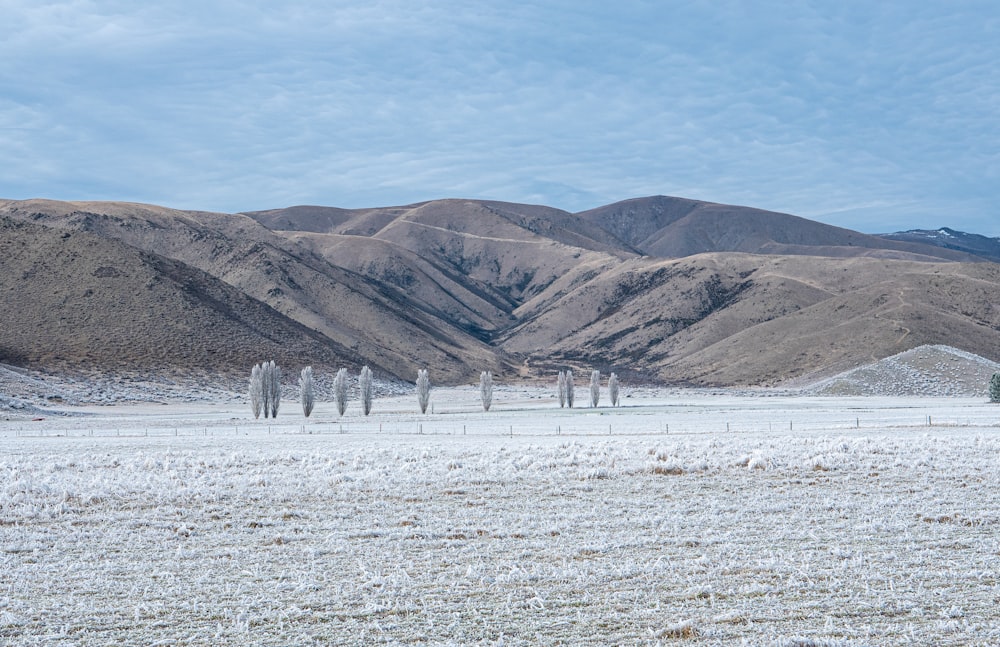 brown mountains under blue sky during daytime