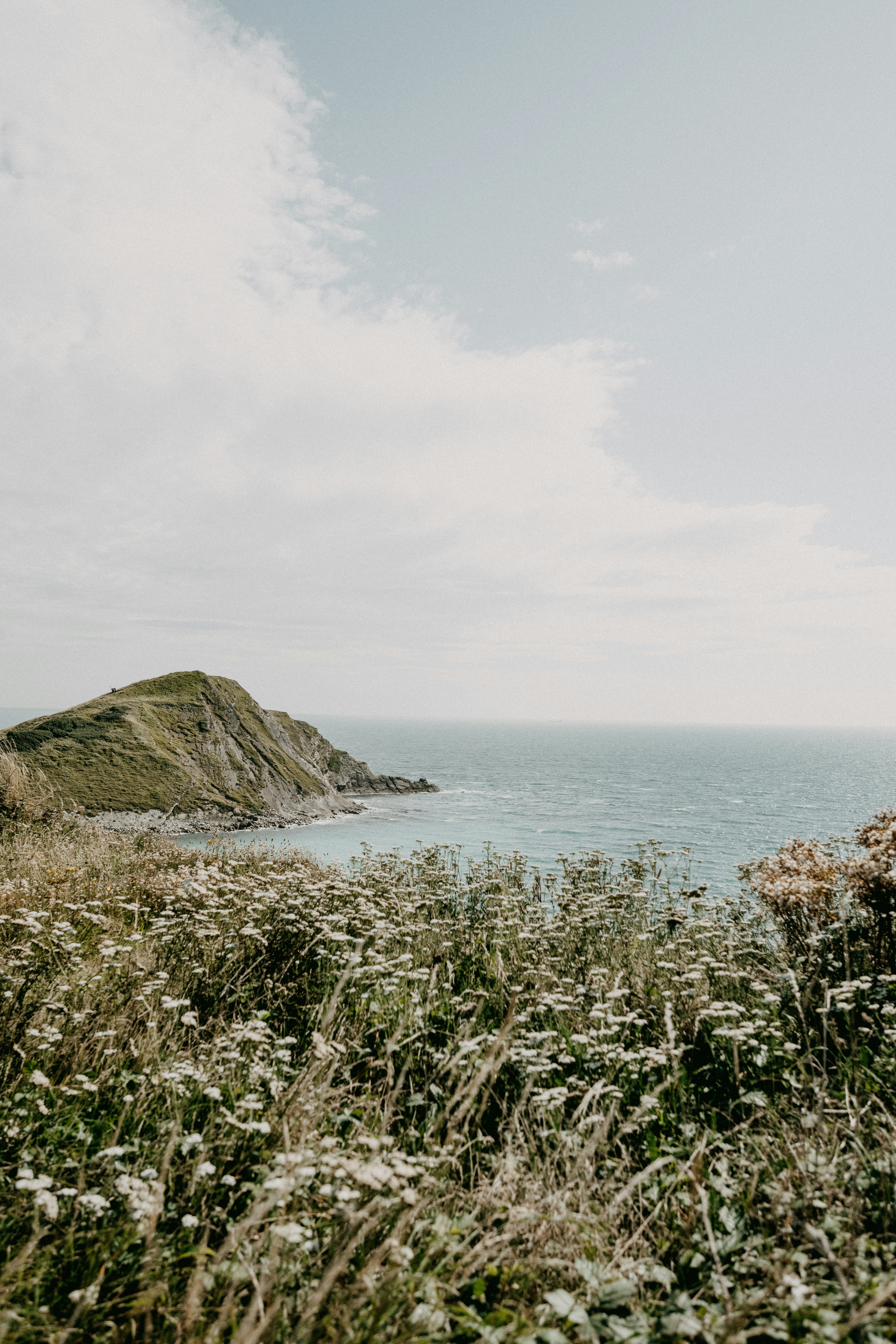Family hike along the South West Coastal Path - Tyneham Village and Flower