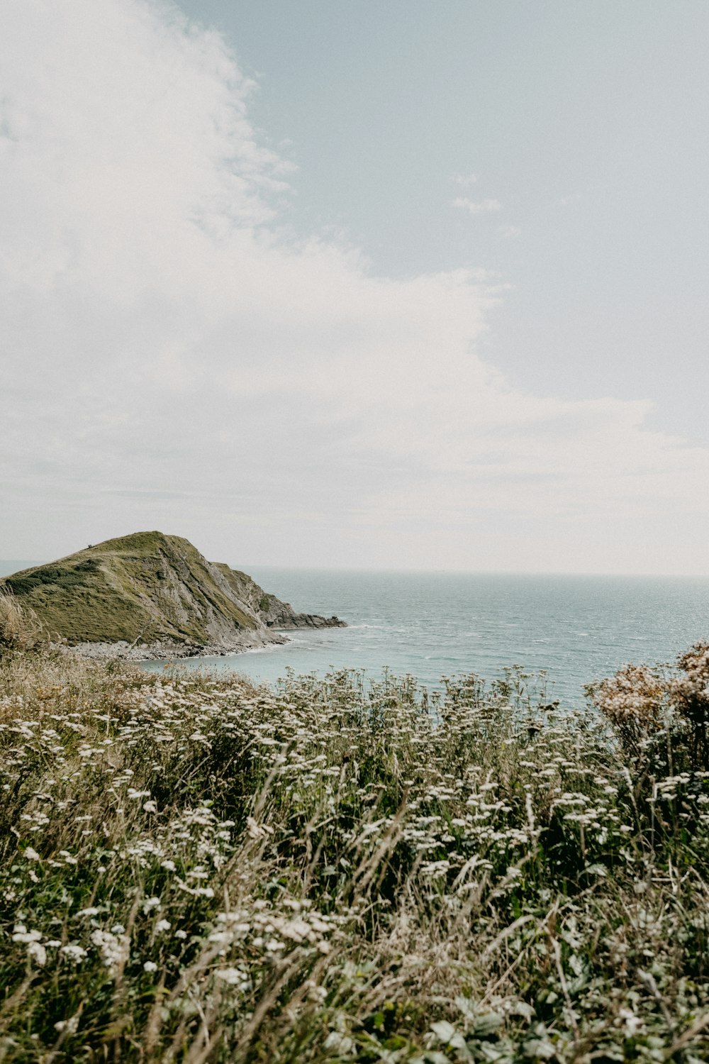 green grass on brown rock formation near body of water during daytime