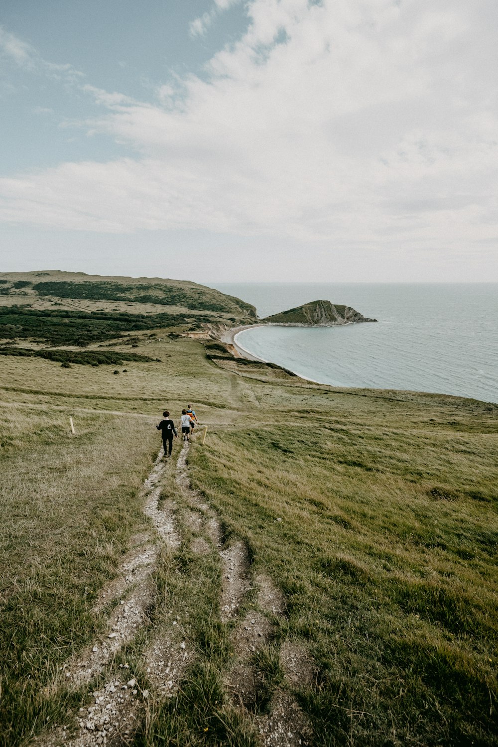 people walking on green grass field near body of water during daytime