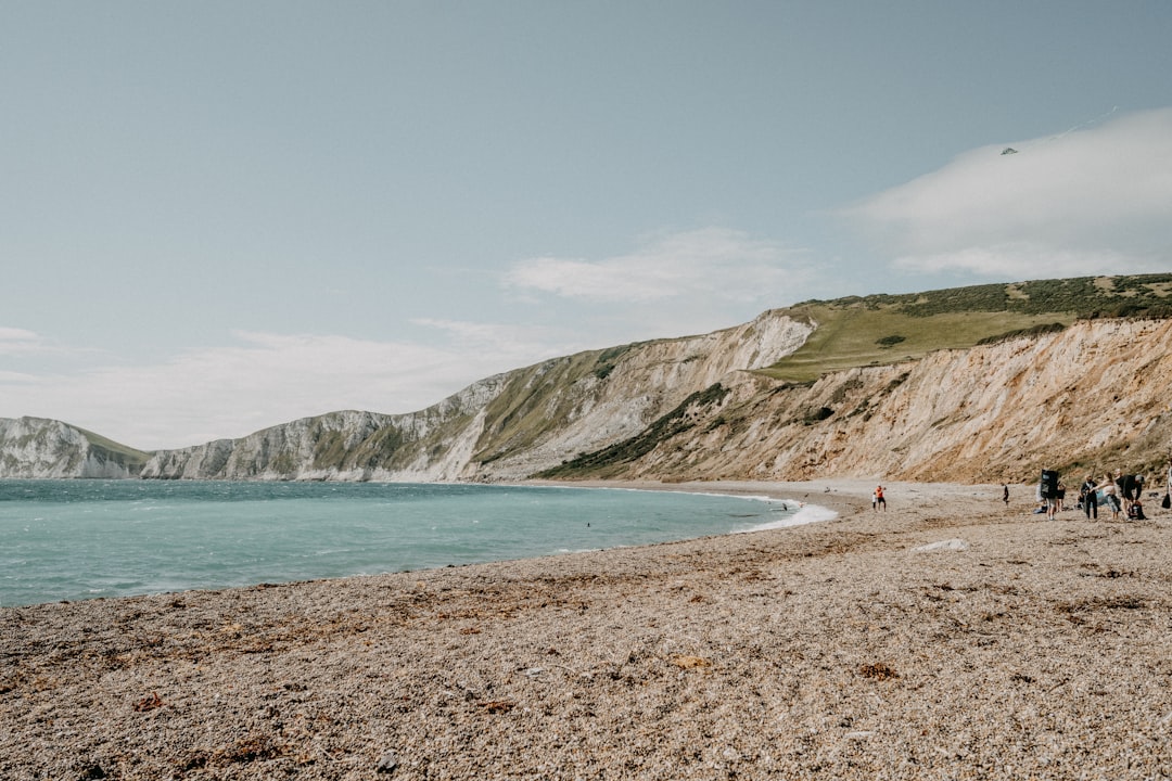 people on beach during daytime