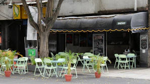 Outdoor seating area of Nakba cafe with green plants and relaxed atmosphere