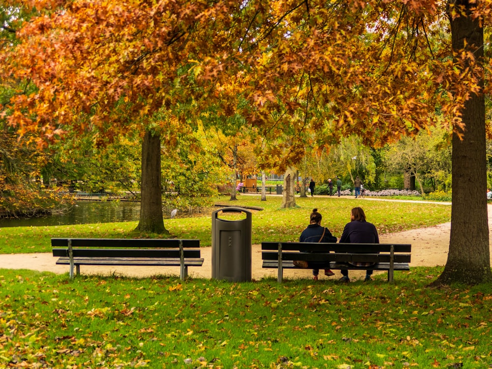 couple sitting on bench near trees during daytime
