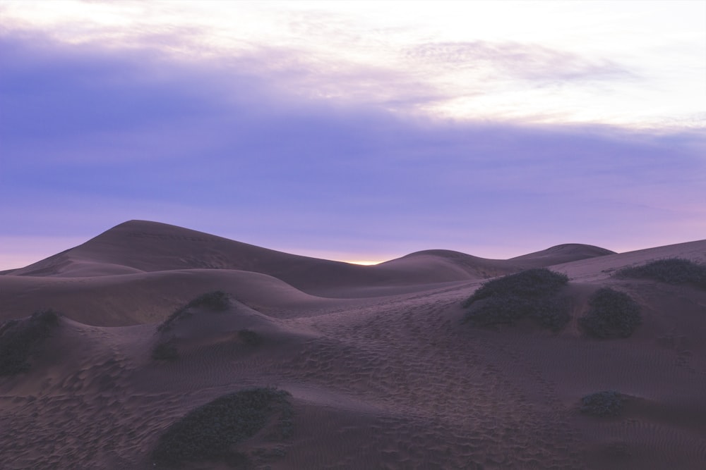 brown sand under blue sky during daytime