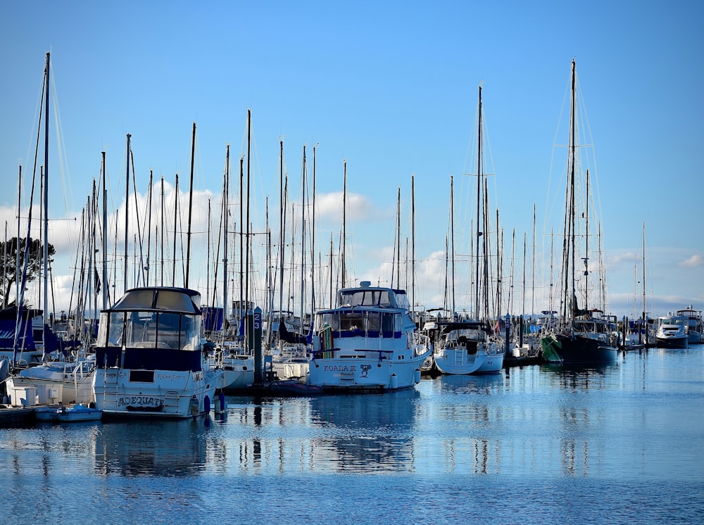 white and blue boat on dock during daytime