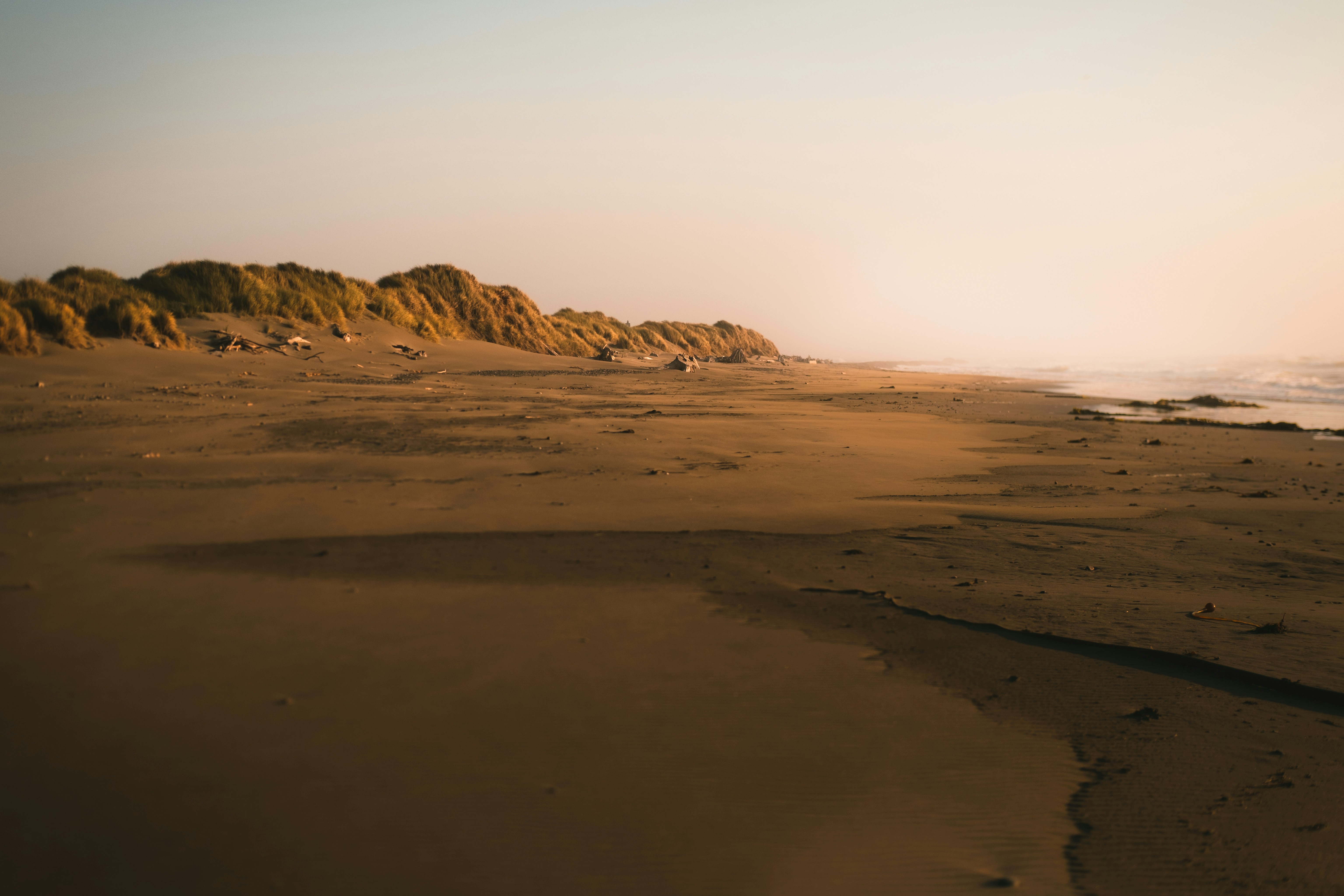 Photo by northernstatemedia