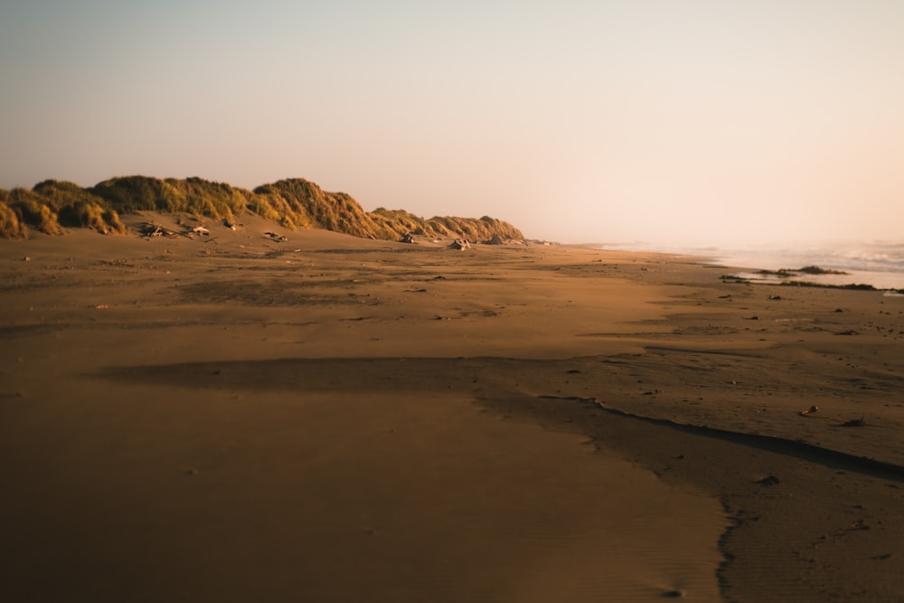 brown sand near brown mountain during daytime