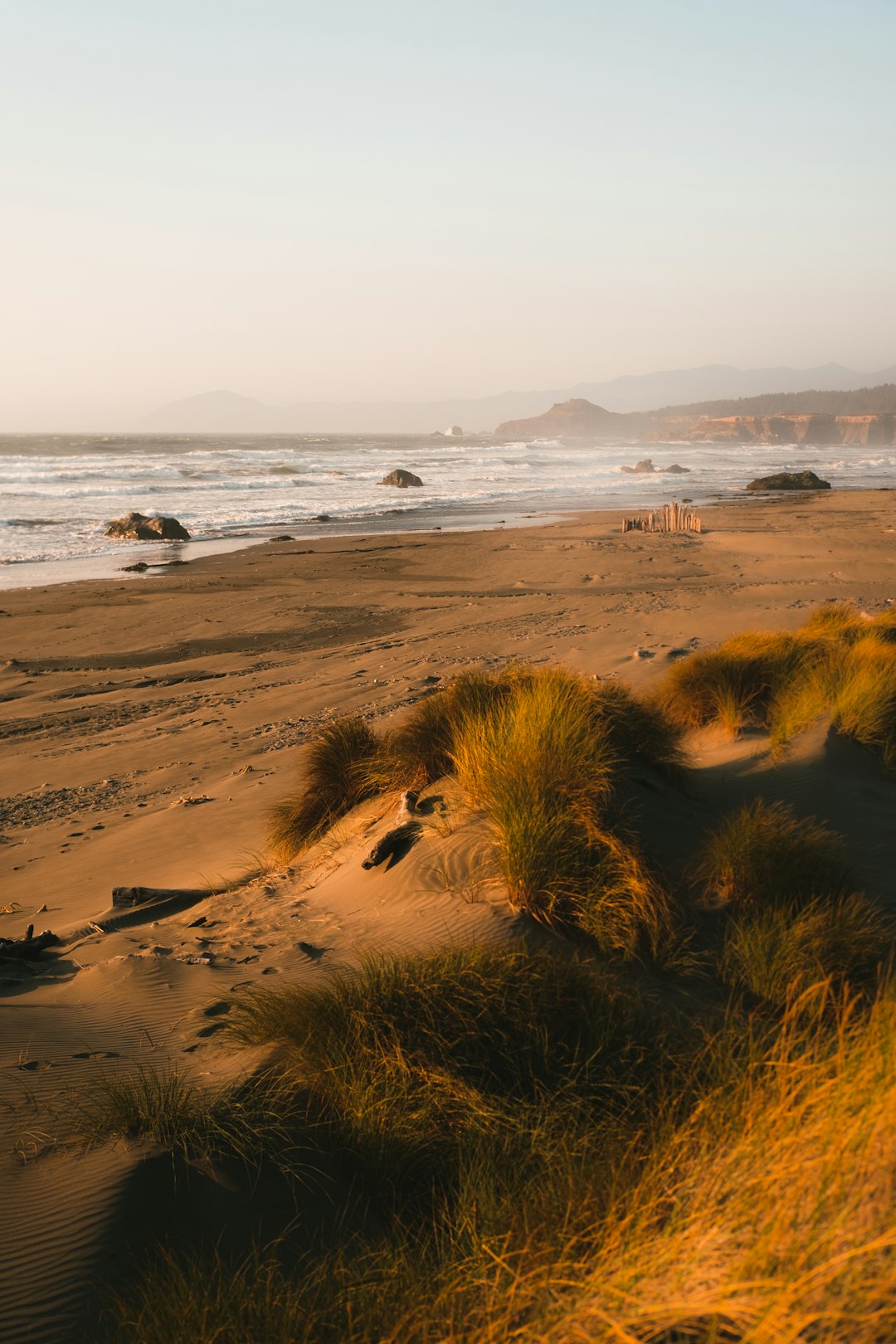 brown sand near body of water during daytime