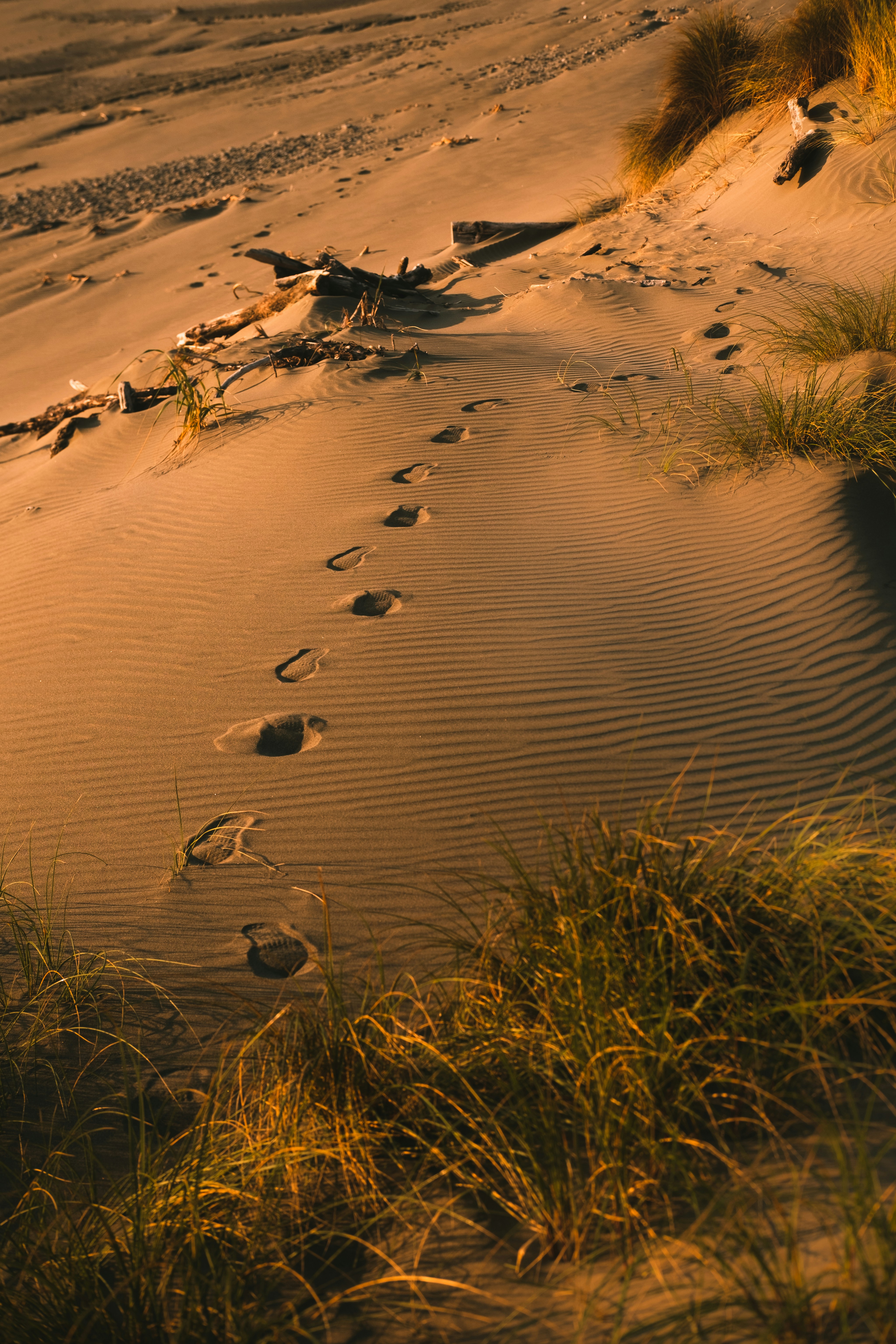 Photo by northernstatemedia