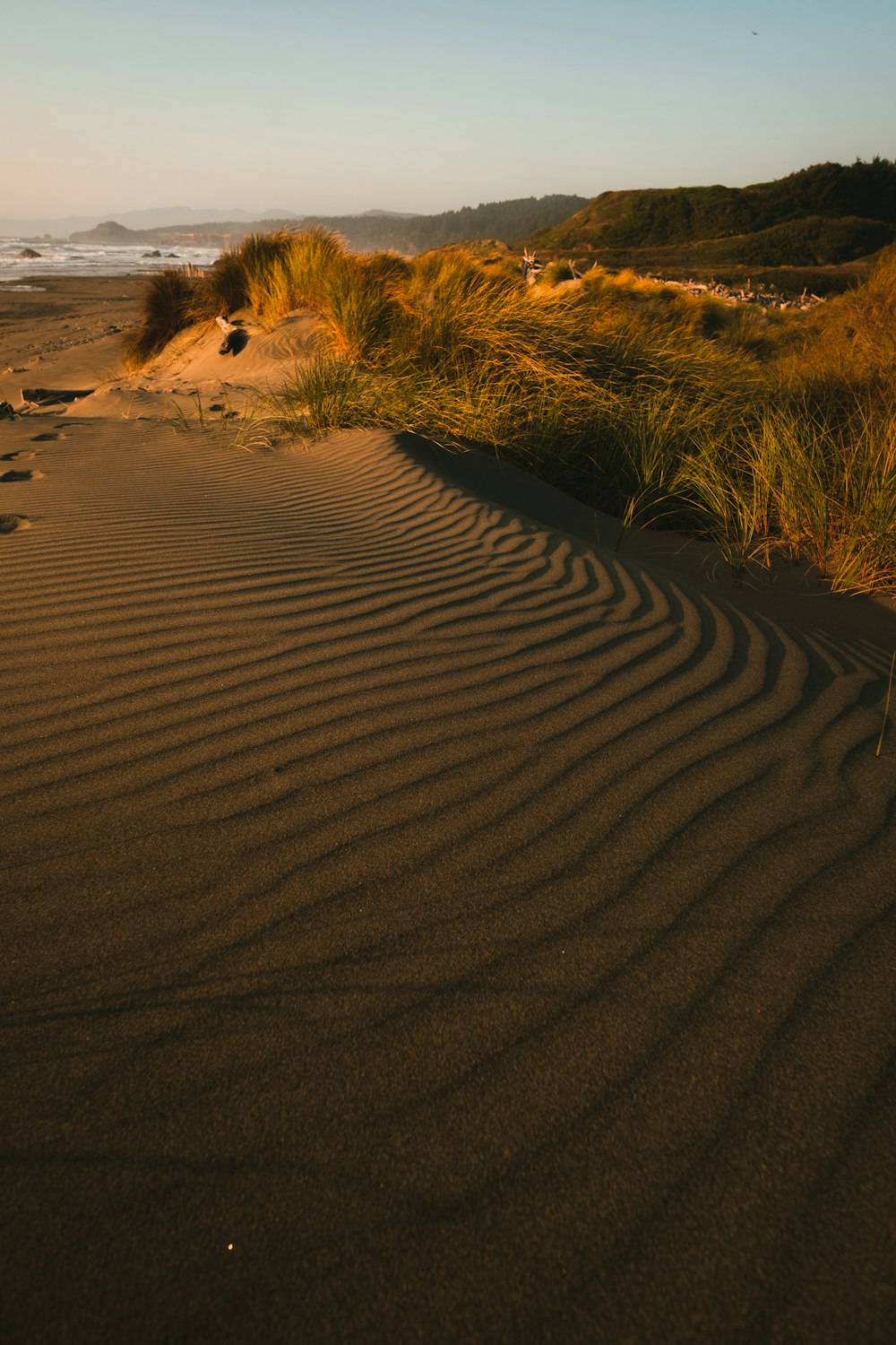brown sand near green grass during daytime