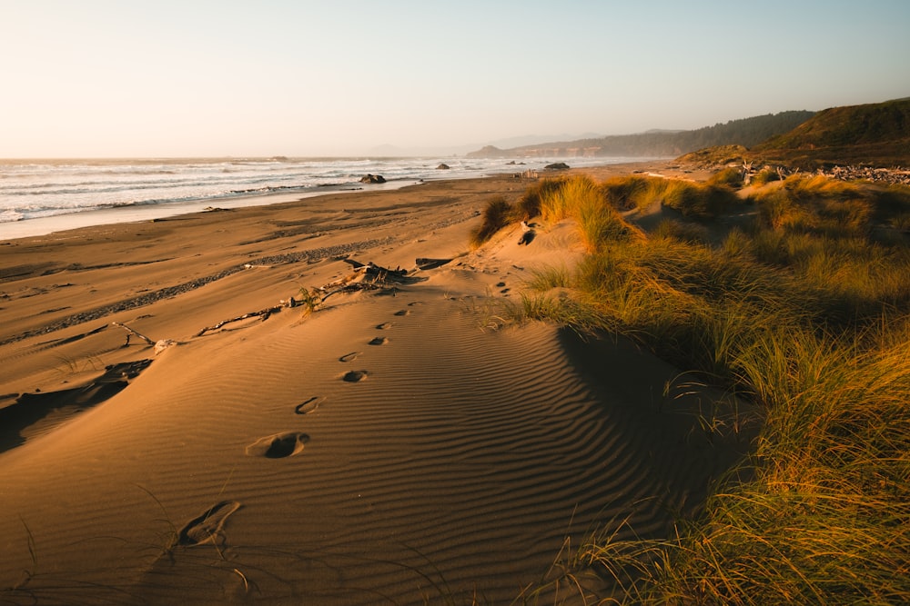 brown sand near body of water during daytime