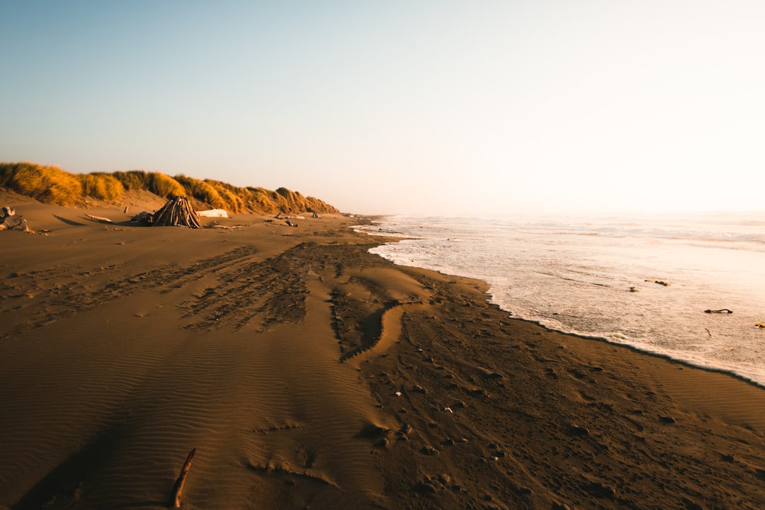 brown sand near body of water during daytime