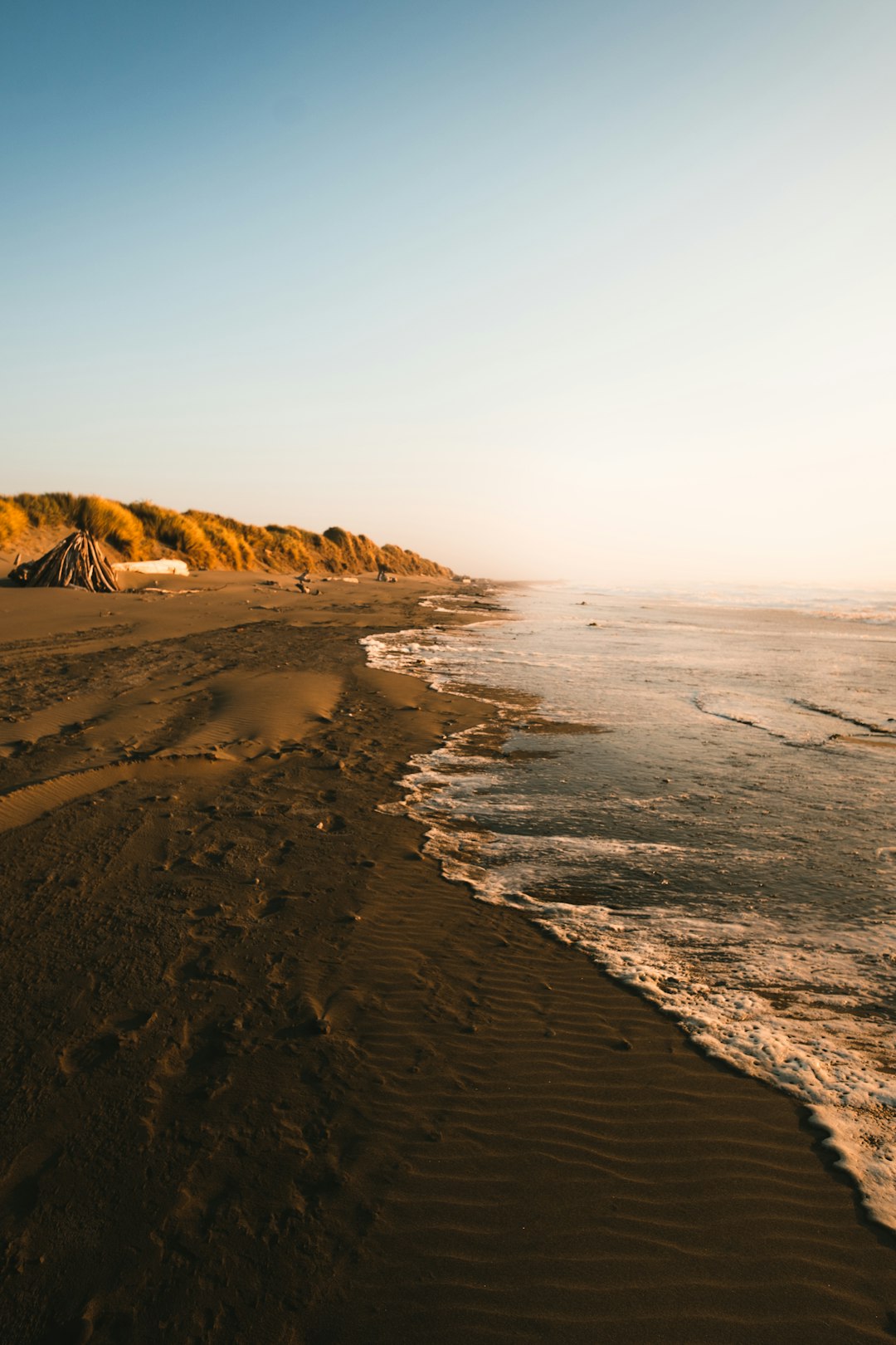 brown sand beach during daytime