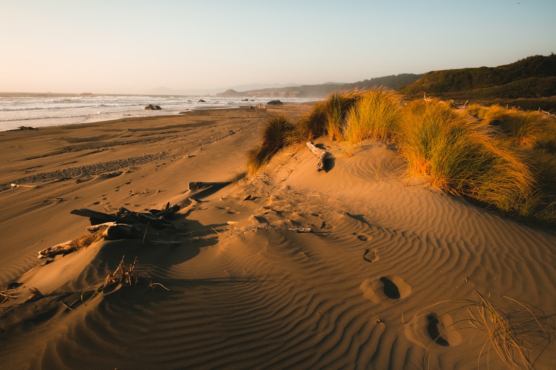 brown sand near body of water during daytime