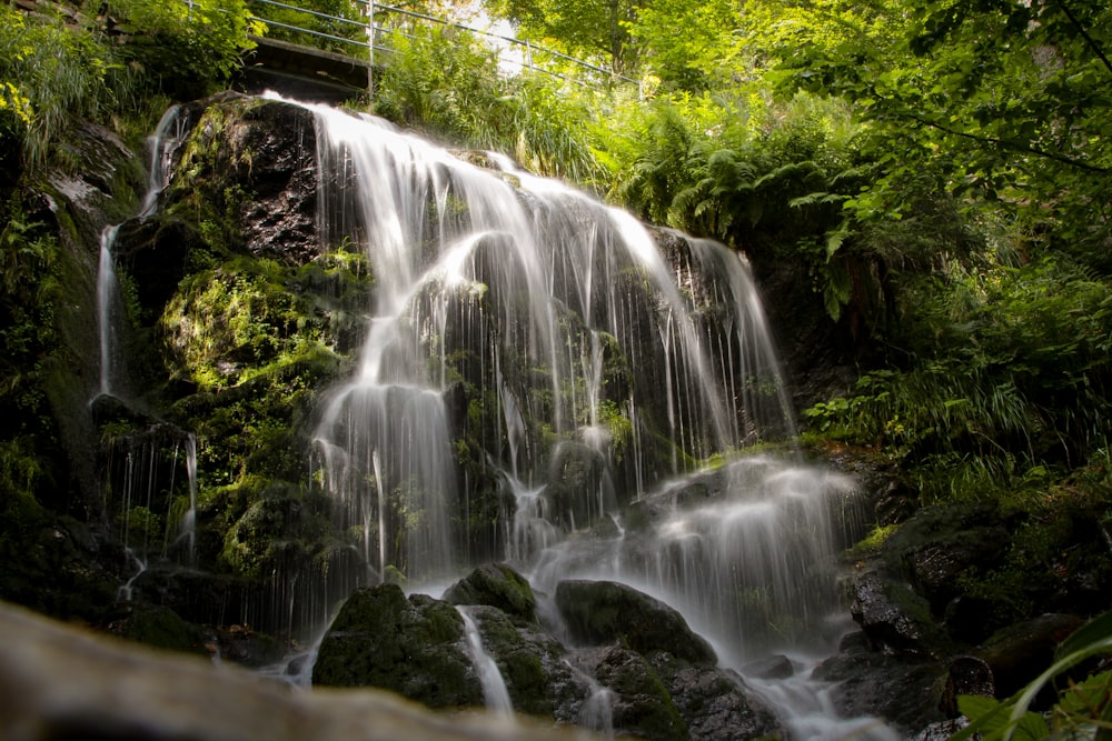 waterfalls in the middle of the forest during daytime