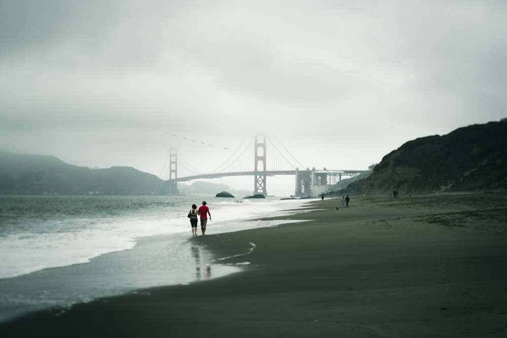 people walking on beach near bridge during daytime