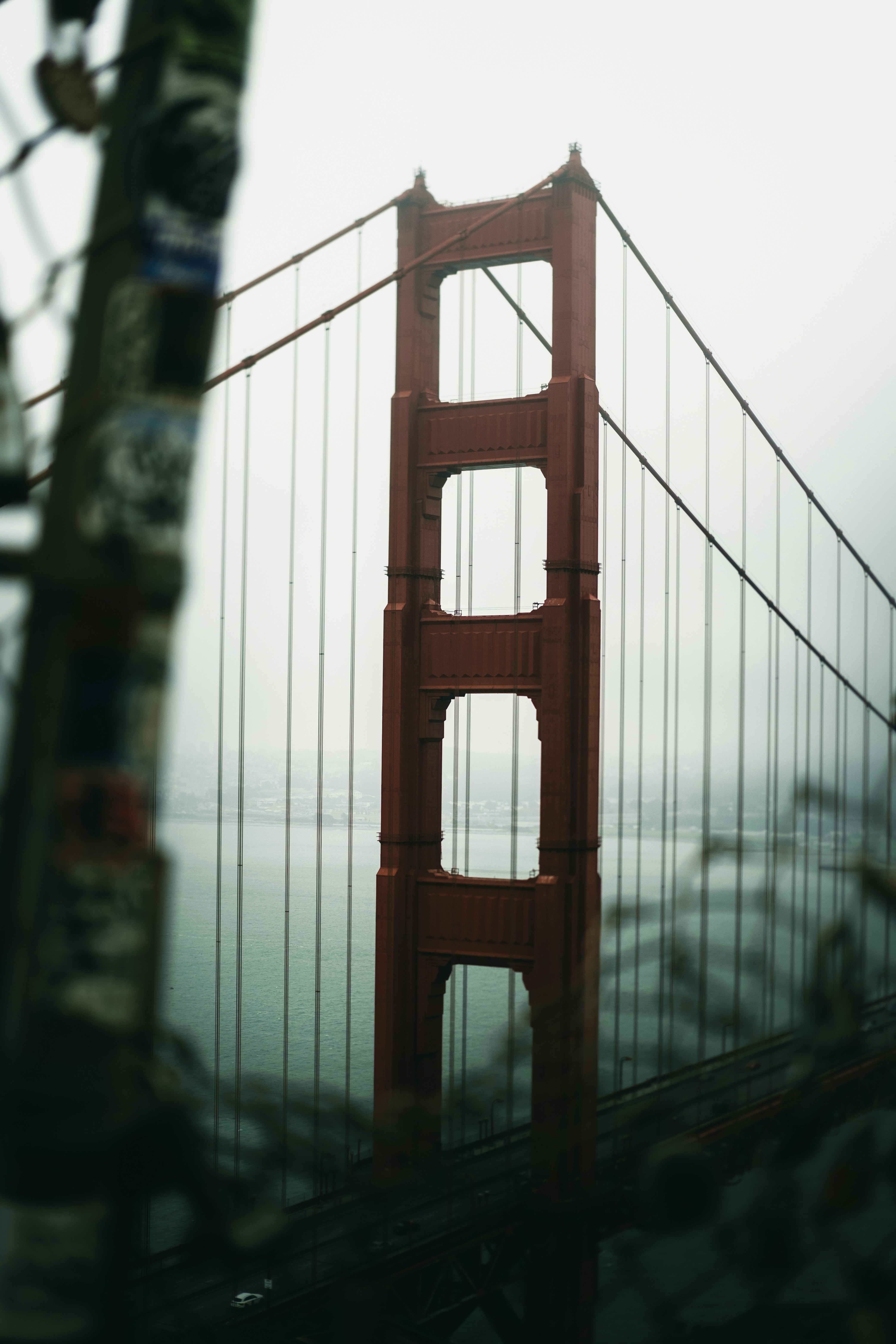 Photo by northernstatemedia