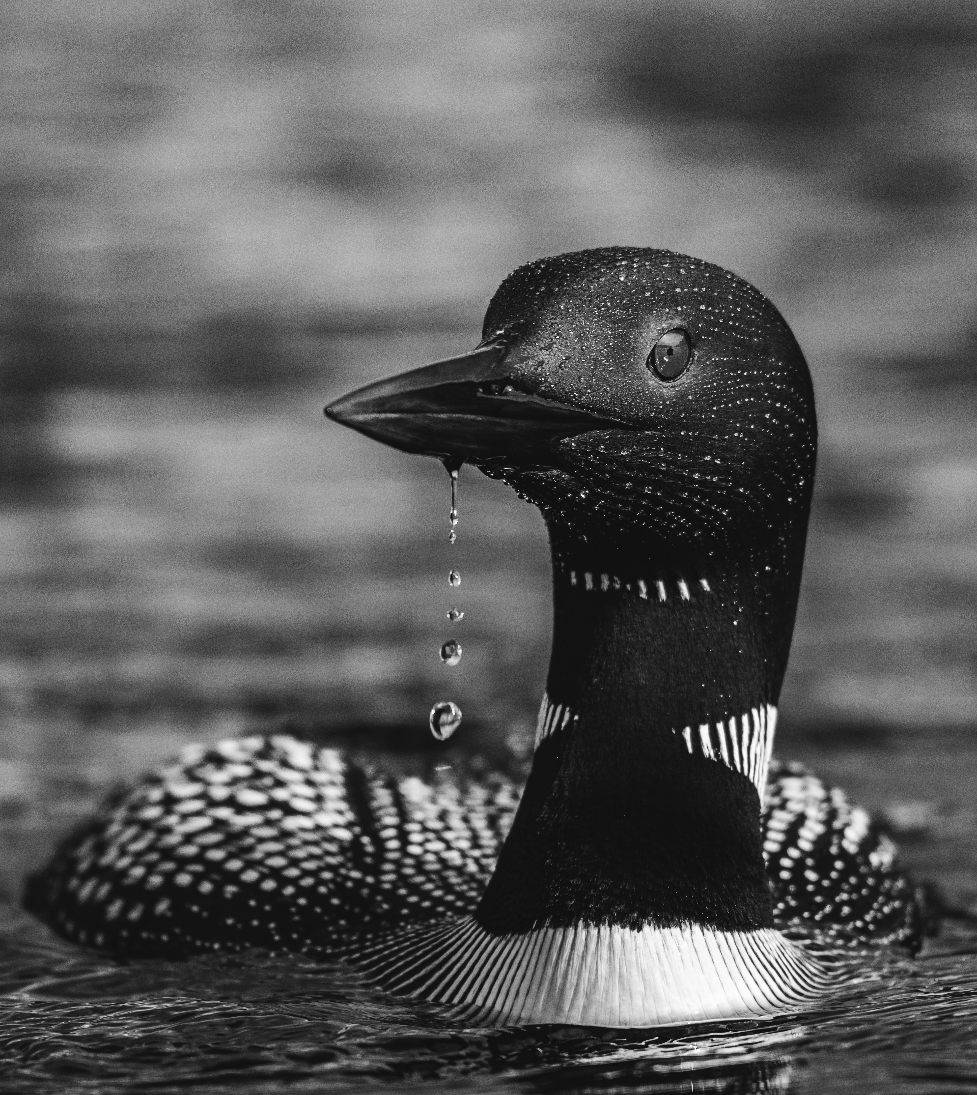 Bugün öğrendim ki: 2010 yılında Ontario Yüksek...