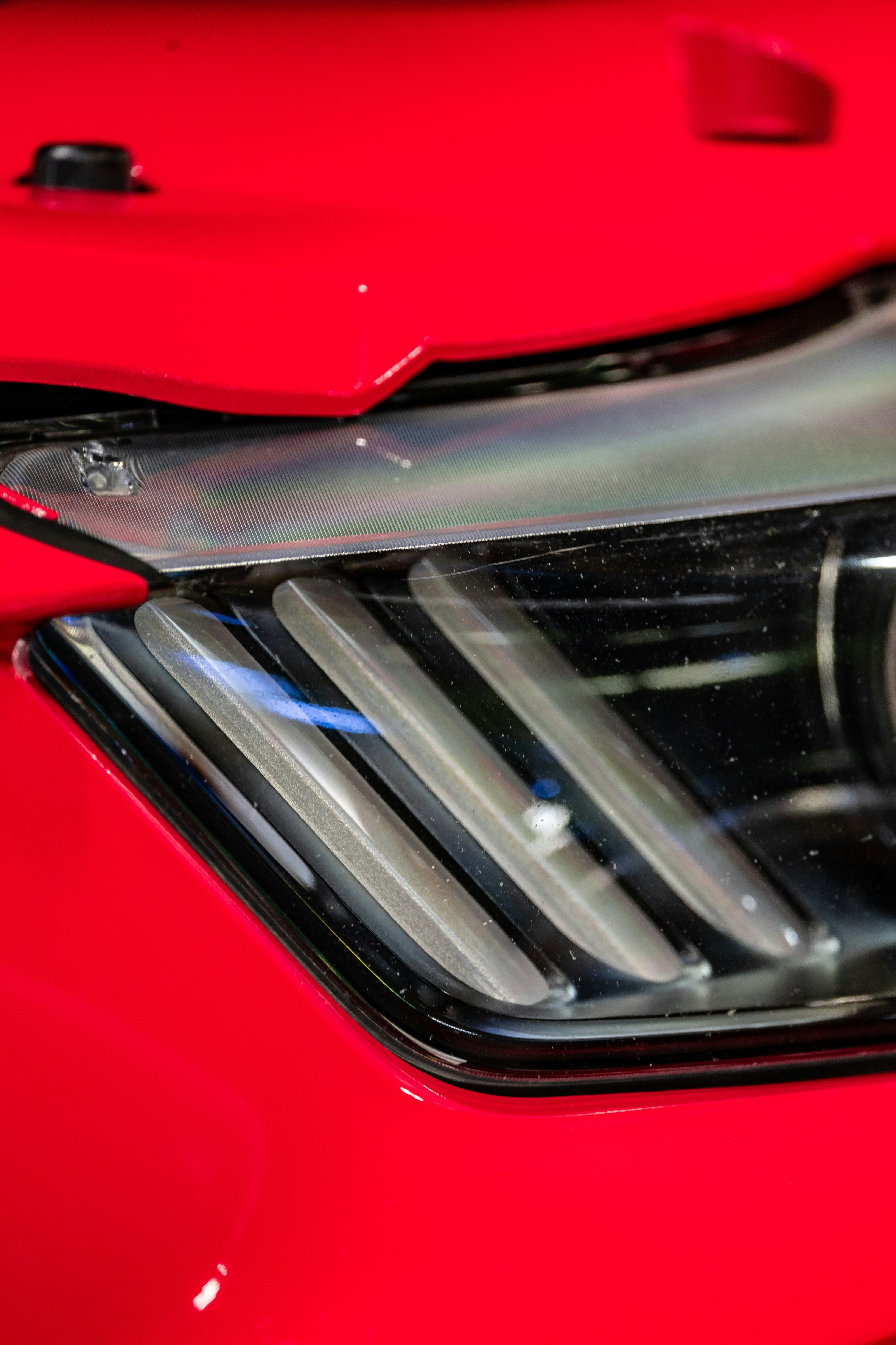 Photo by lonestarexotic