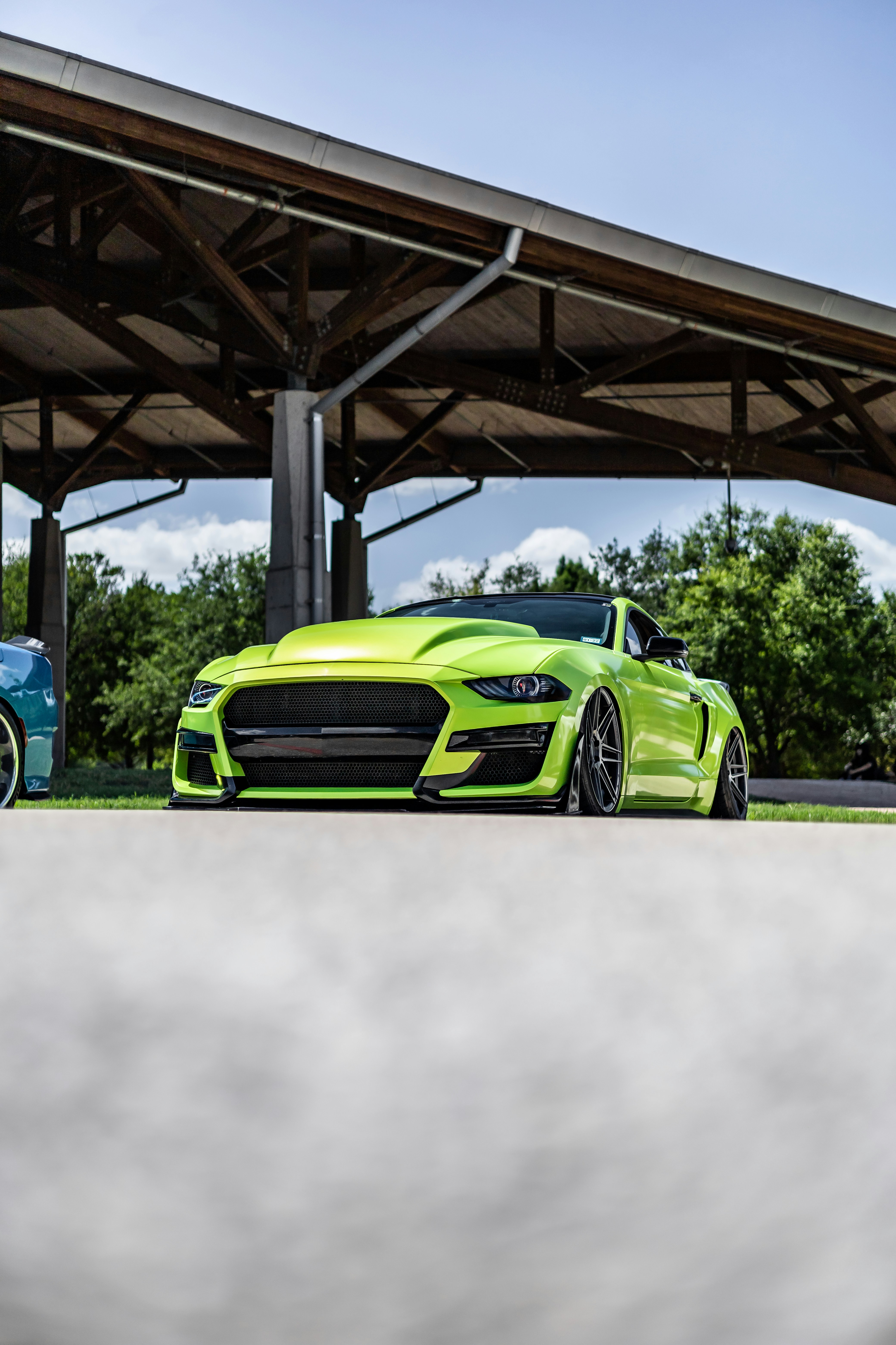 Photo by lonestarexotic