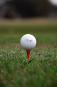 SAAG Inc image of white golf ball on green grass field during daytime