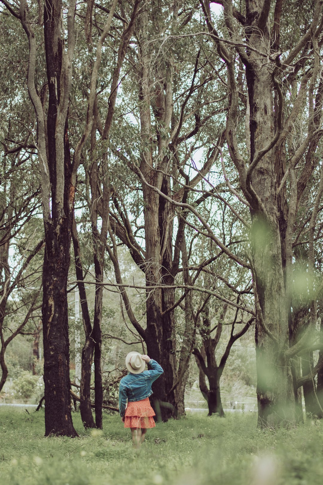 woman in blue hoodie standing in the middle of the forest during daytime